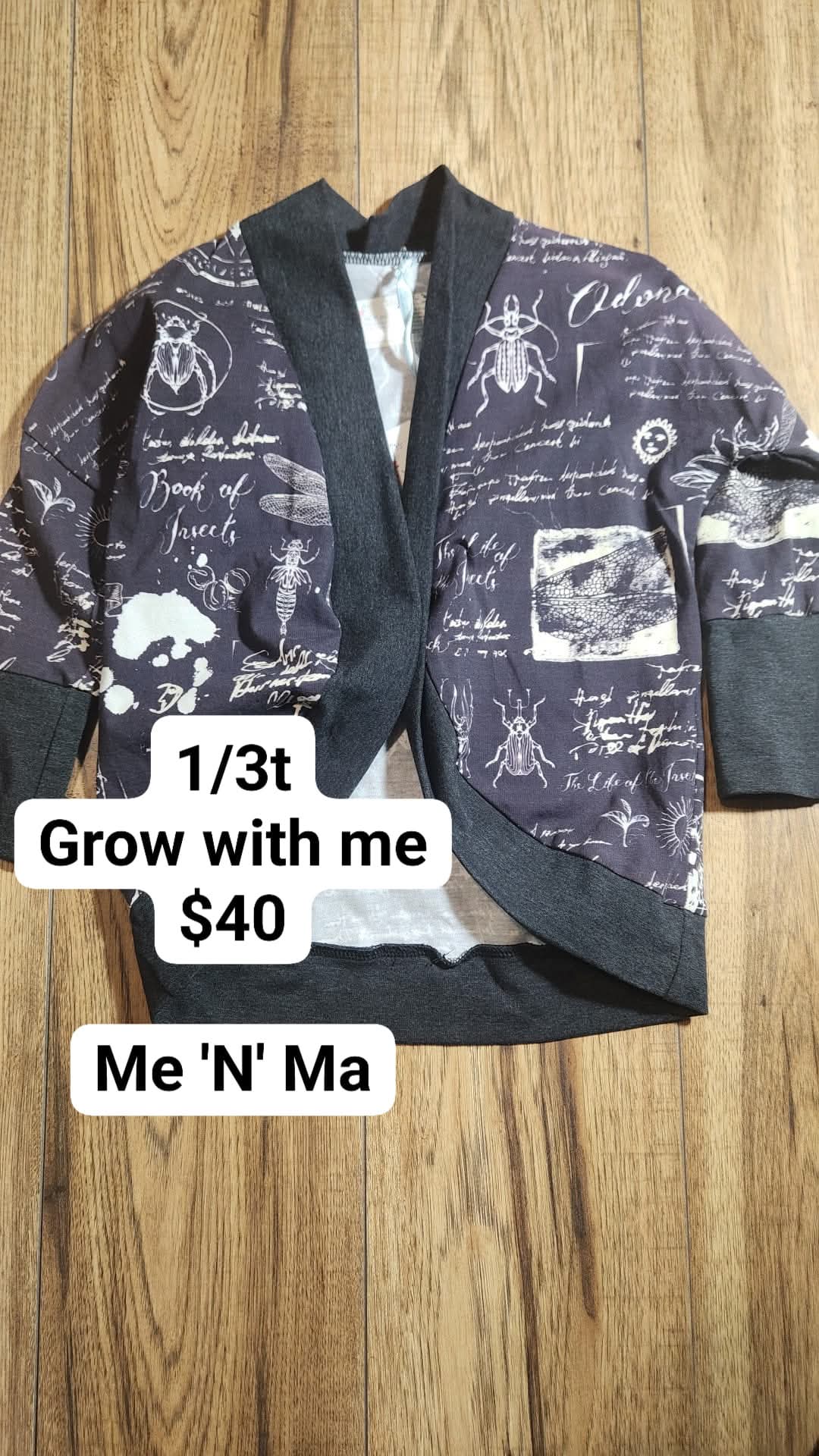 1/3T