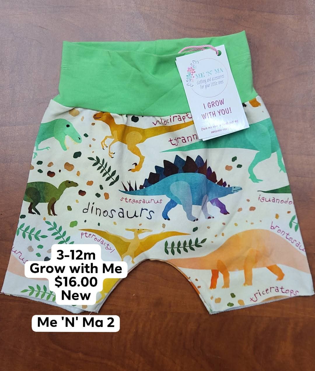 3-12 month dino