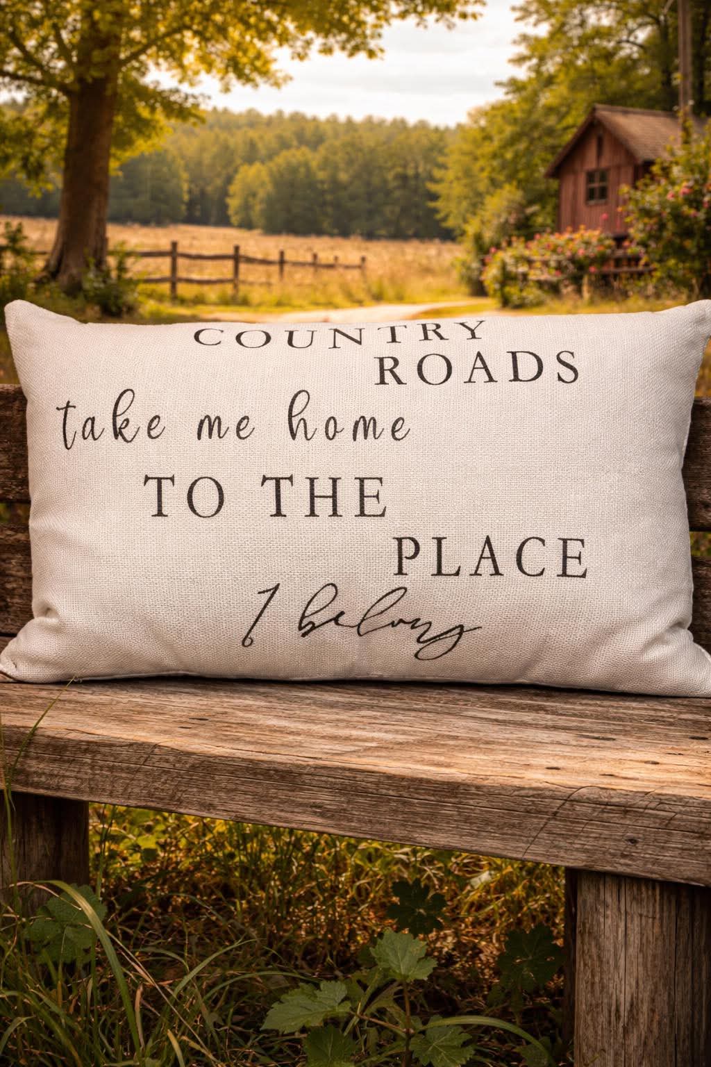 Decorative Pillow - Country Roads