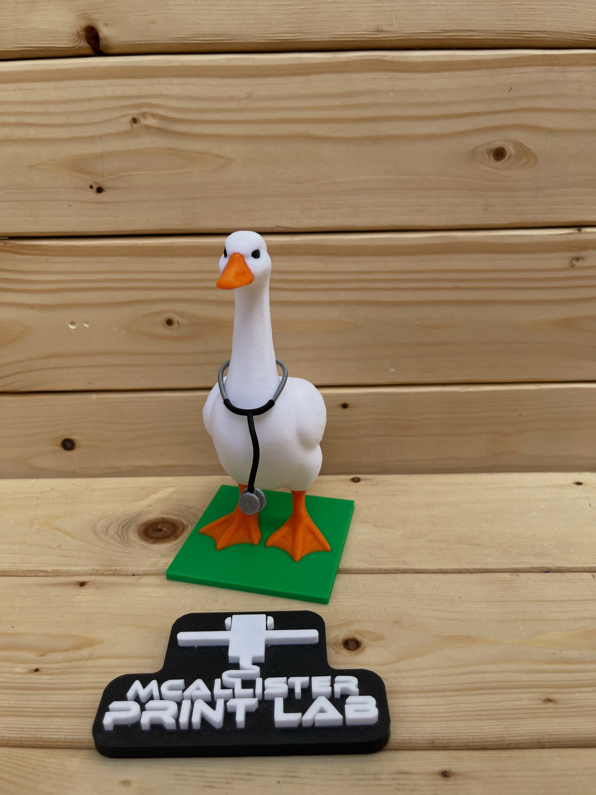 McAllister Print Lab - 6" Desk Goose & Accessories - 2/$5