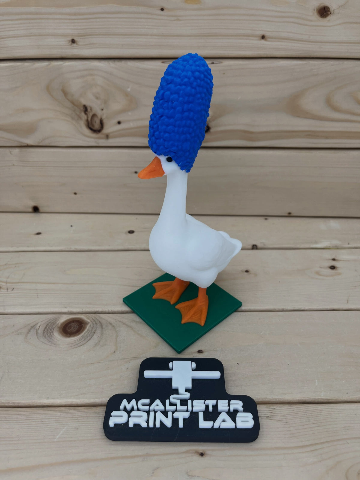 McAllister Print Lab - 6" Desk Goose & Accessories - 2/$5
