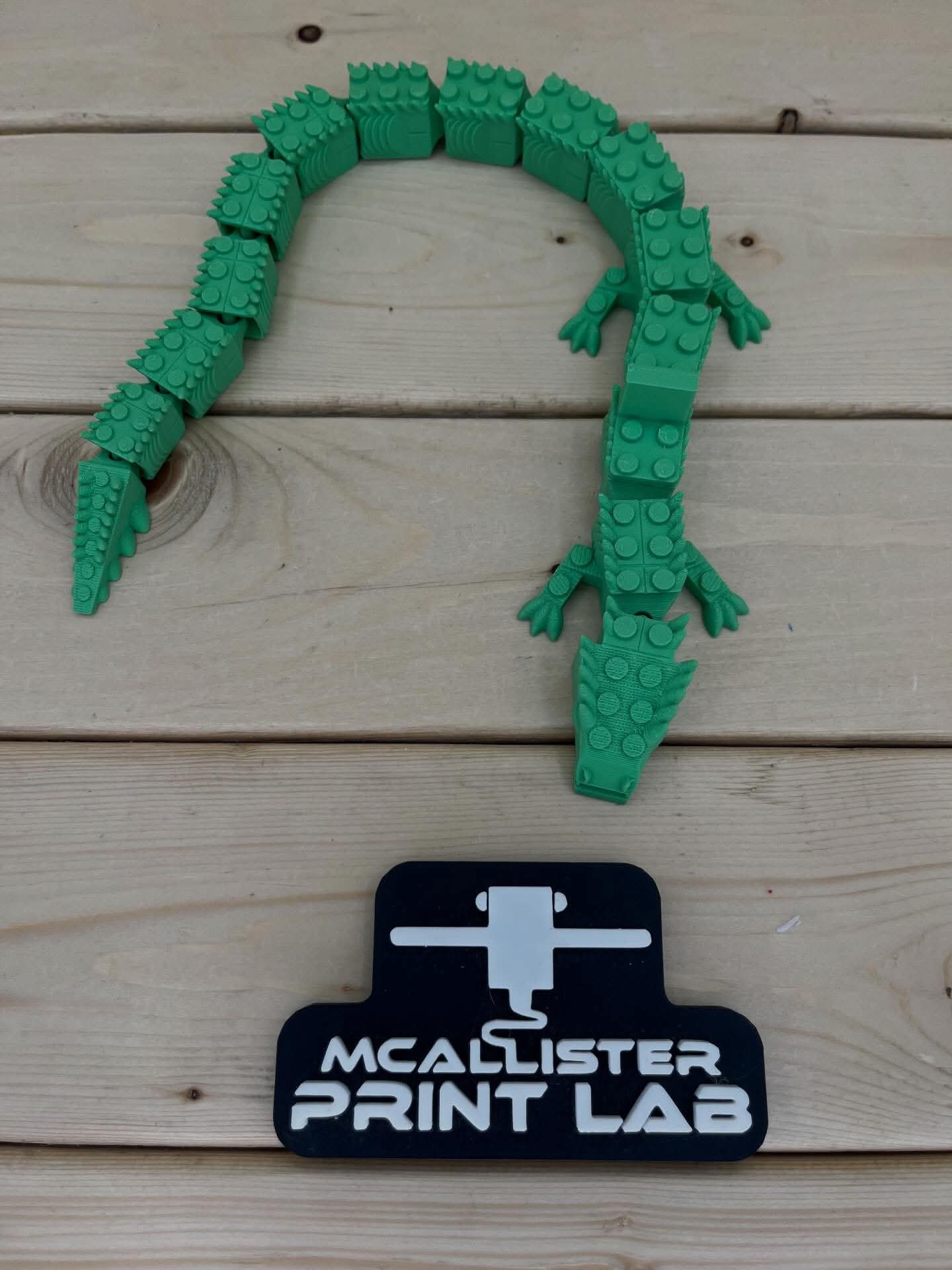 McAllisters Print Lab - Dragon