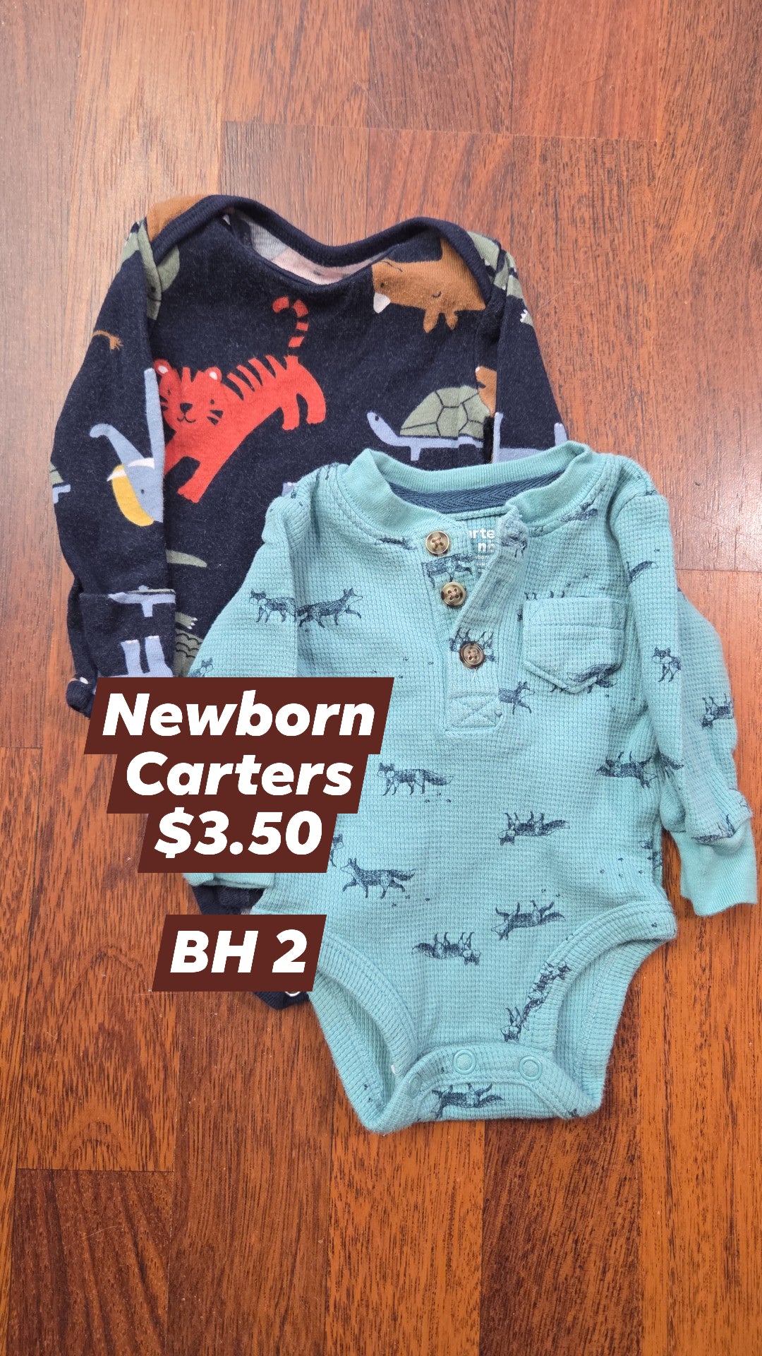 Newborn
