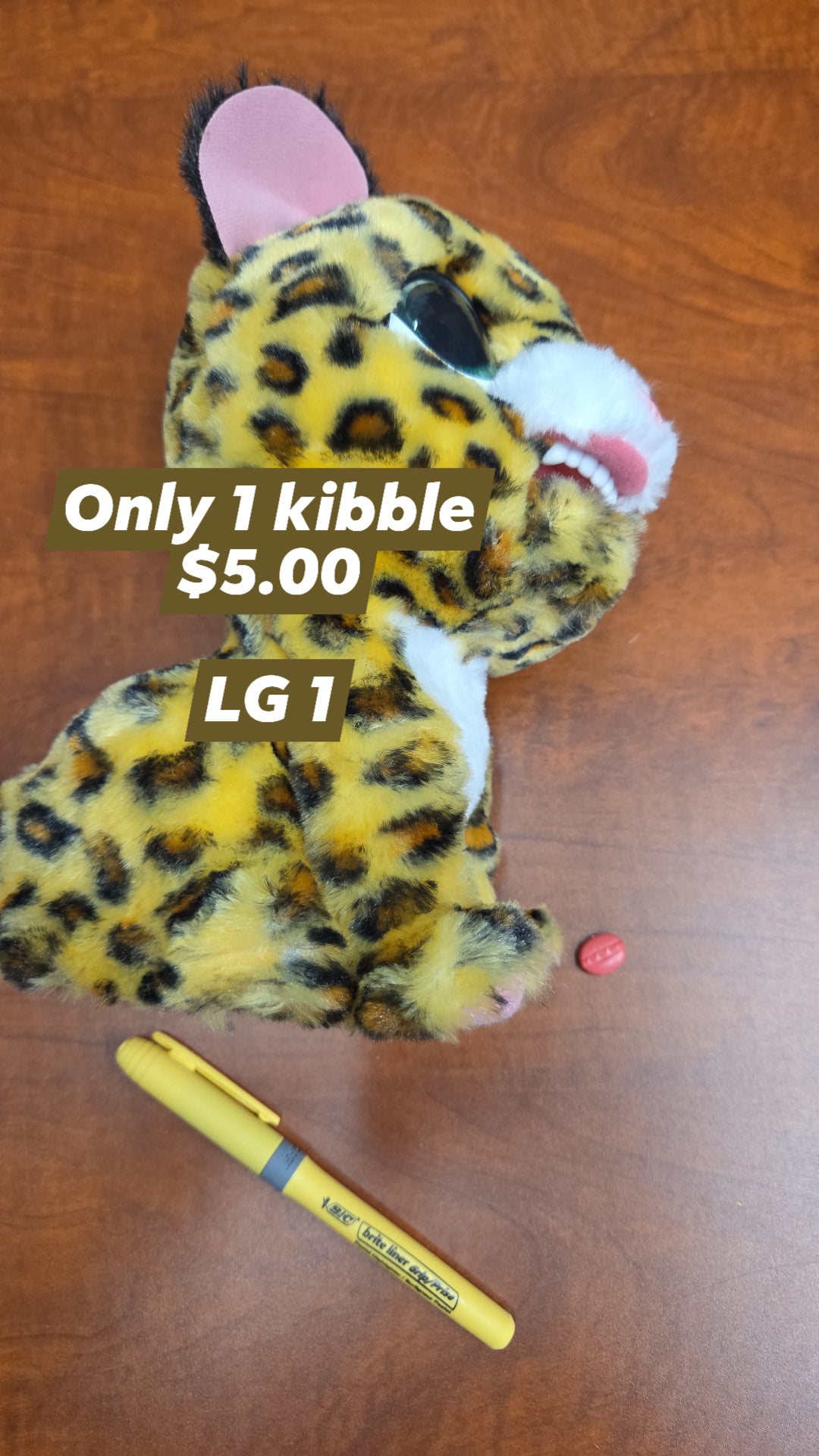 Toy