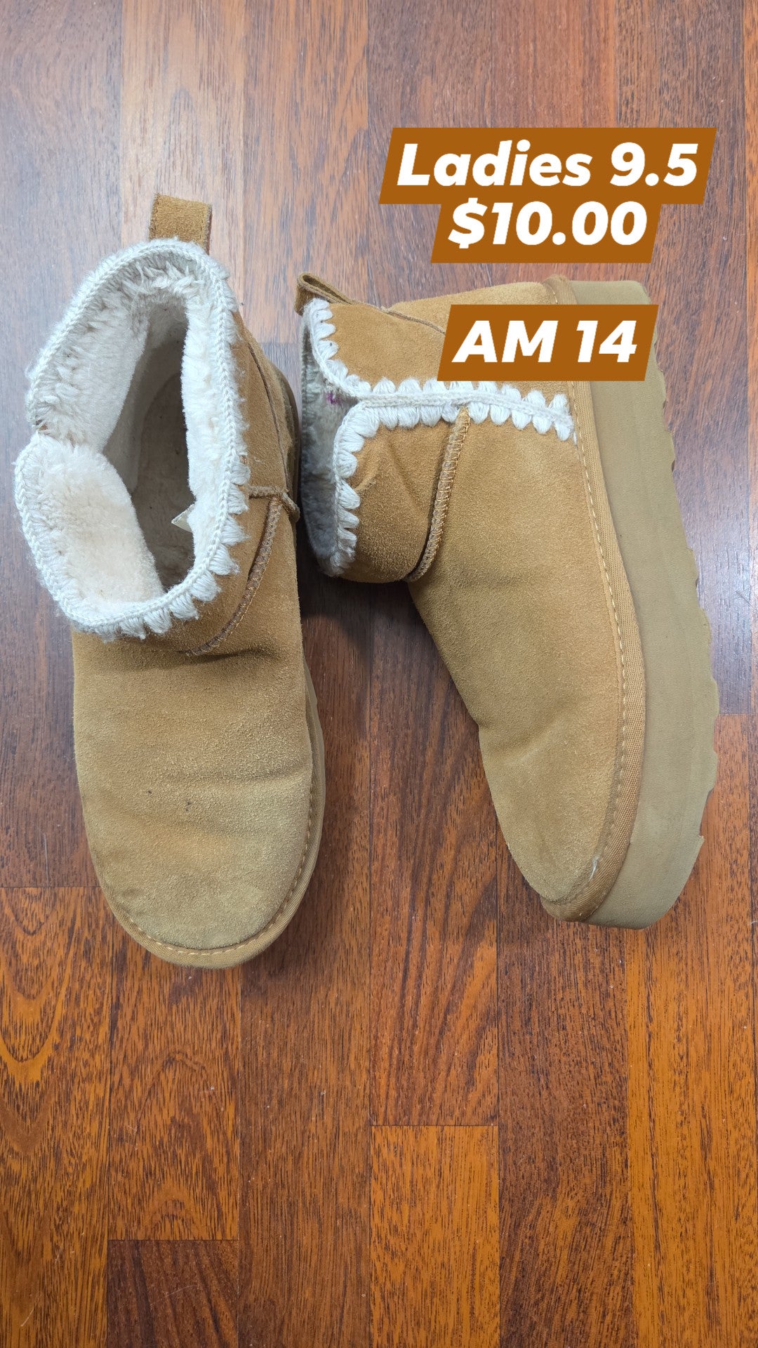 Ladies 9.5