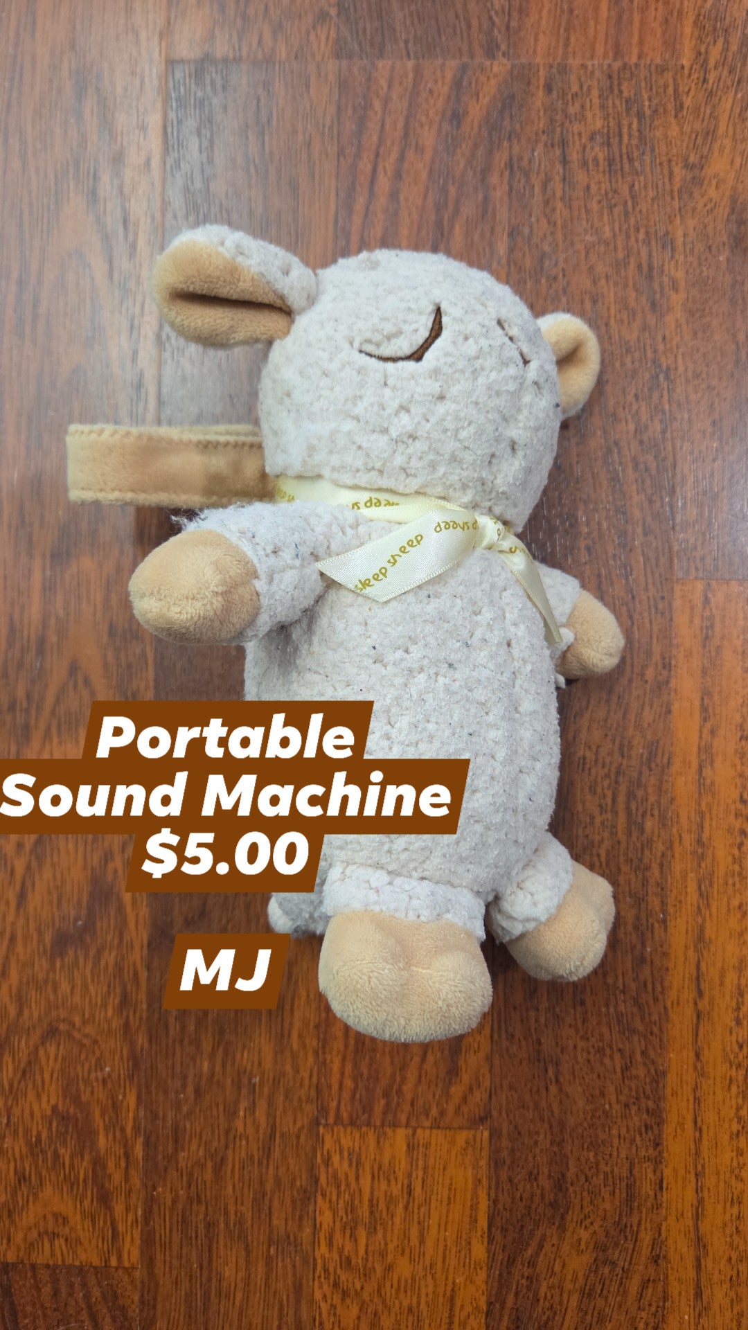 Portable Sound Machine
