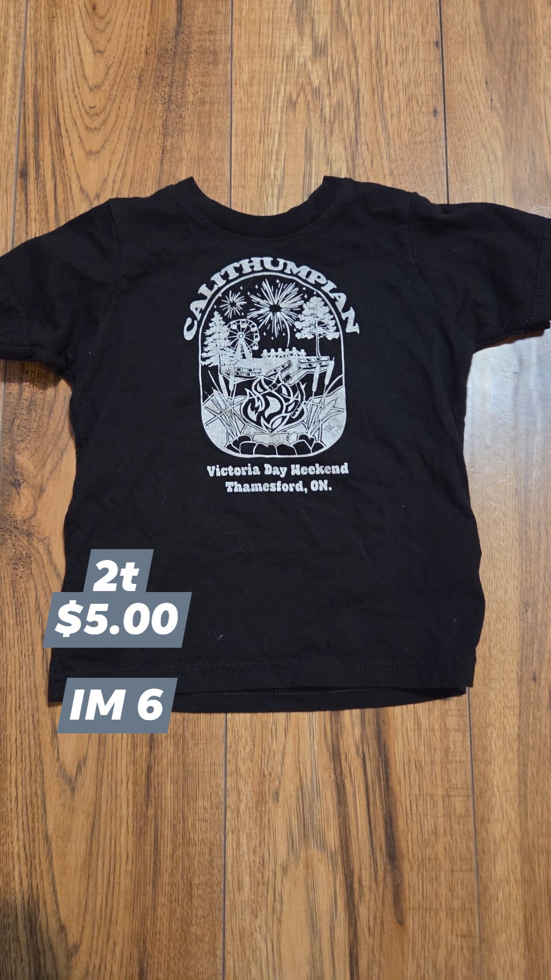 2t