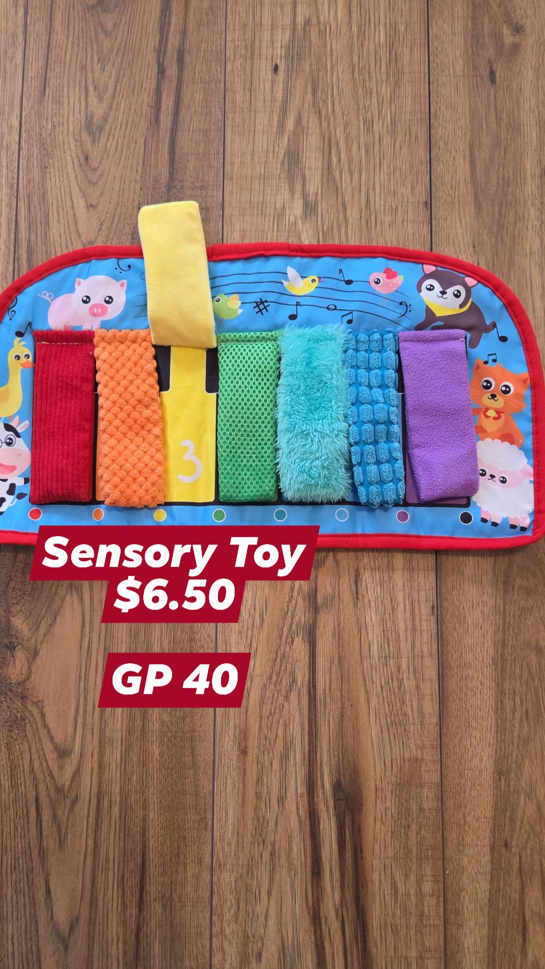 Sensory Toy