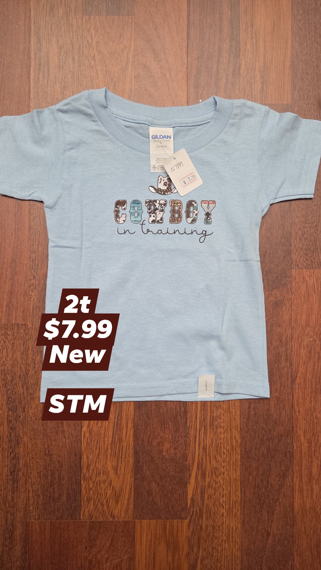 2T - cowboy