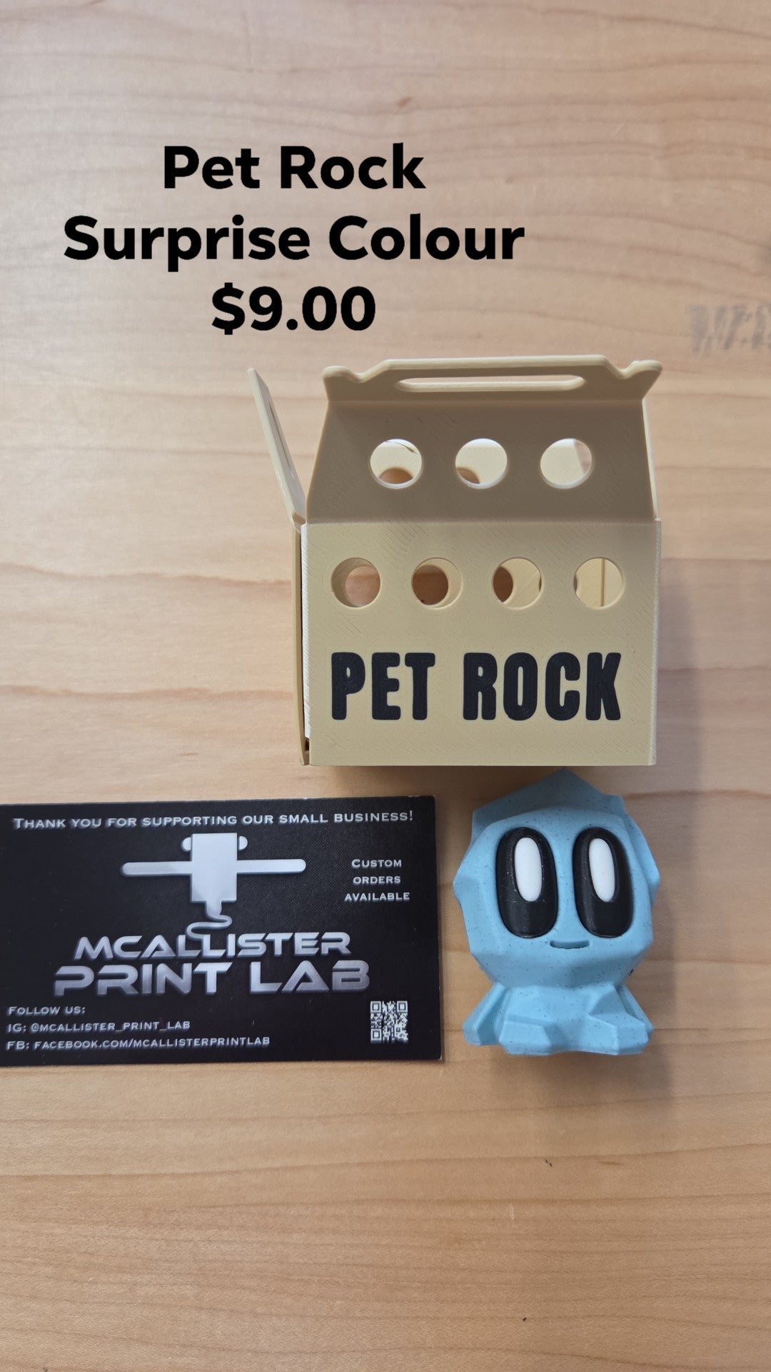 Mcallister Print Lab - Pet Rock