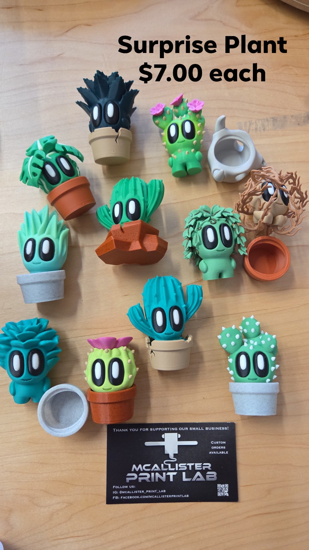 Mcallister Print Lab -  Surprise Plant