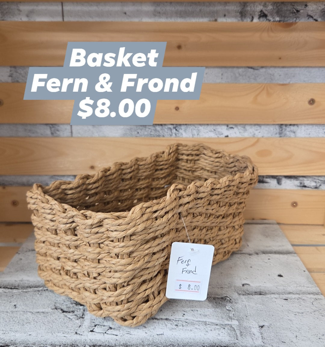 The Fern & Frond - single basket