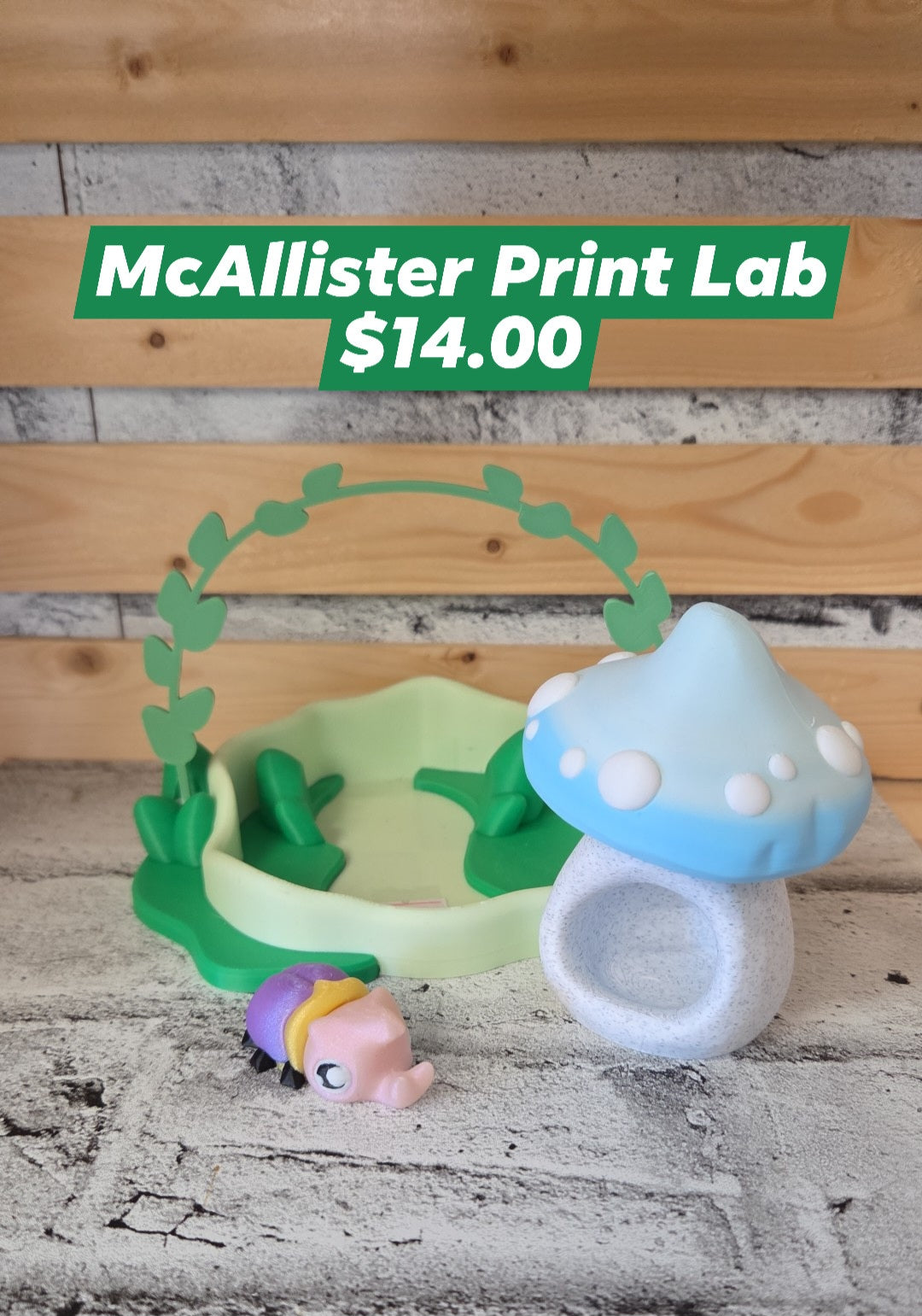 McAllister Print Lab - Beetle