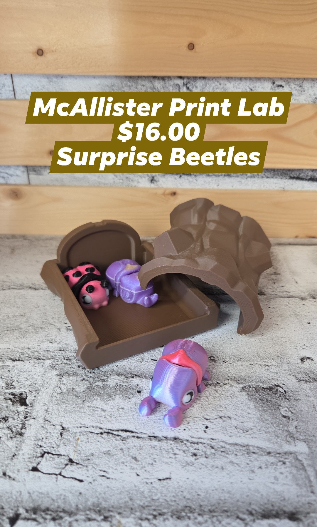 McAllister Print Lab - Beetle Logs