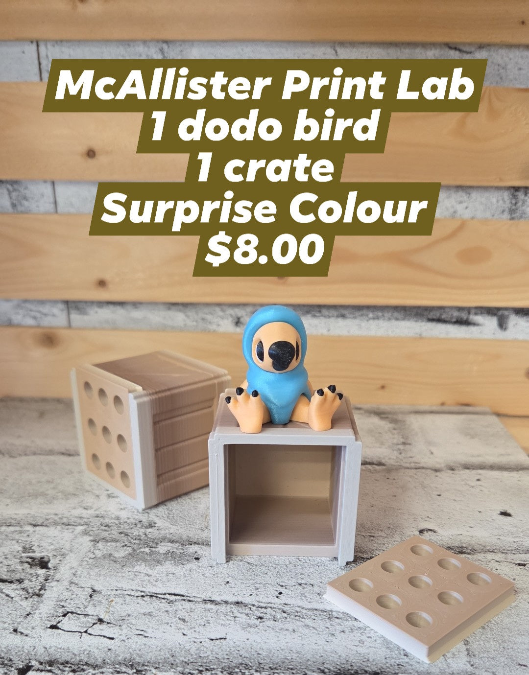 McAllister Print Lab- Dodo Bird