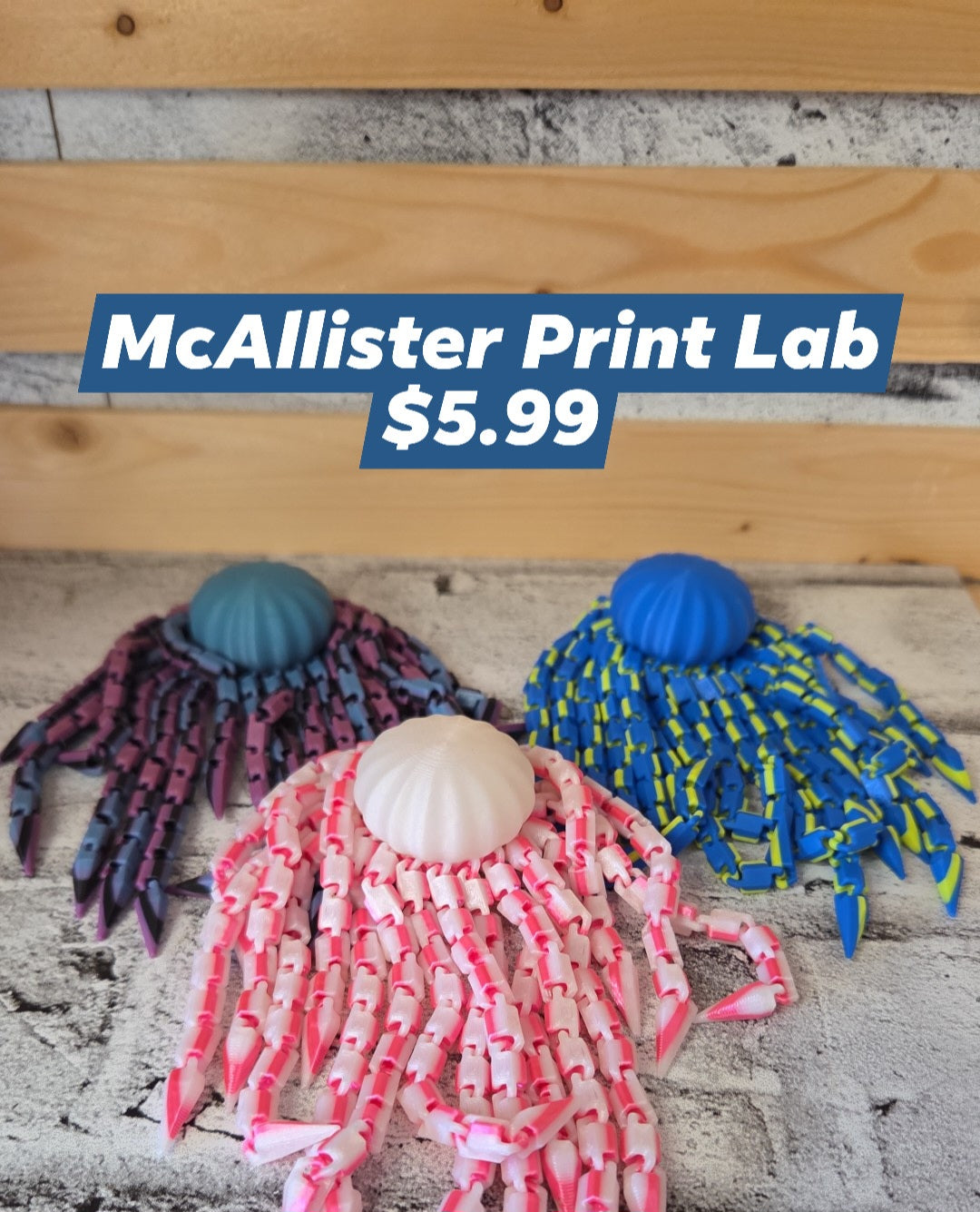 McAllister Print Lab - Jelly Fish Fidget - Random colour selected