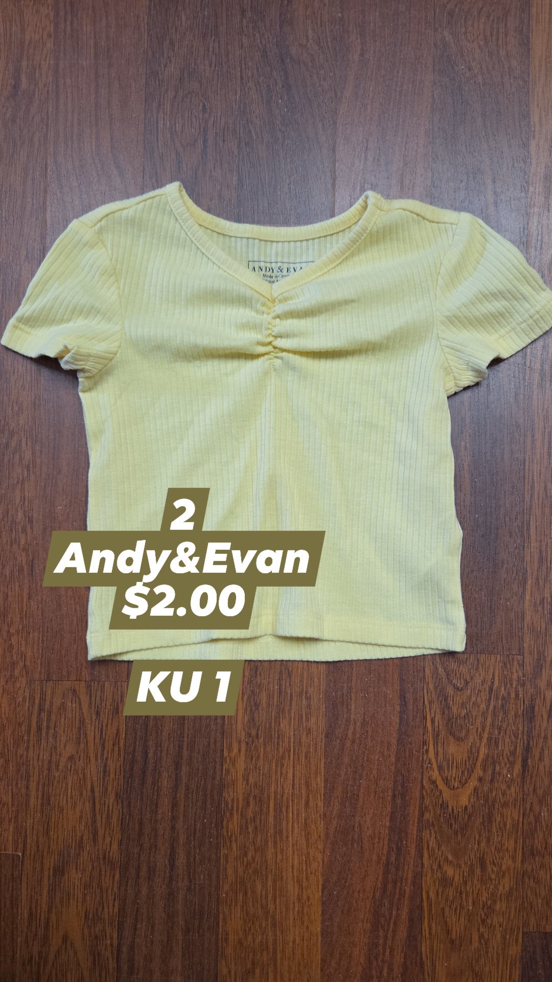2t