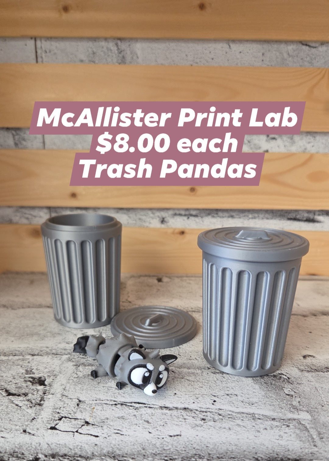 McAllister Print Lab -Trash Pandas