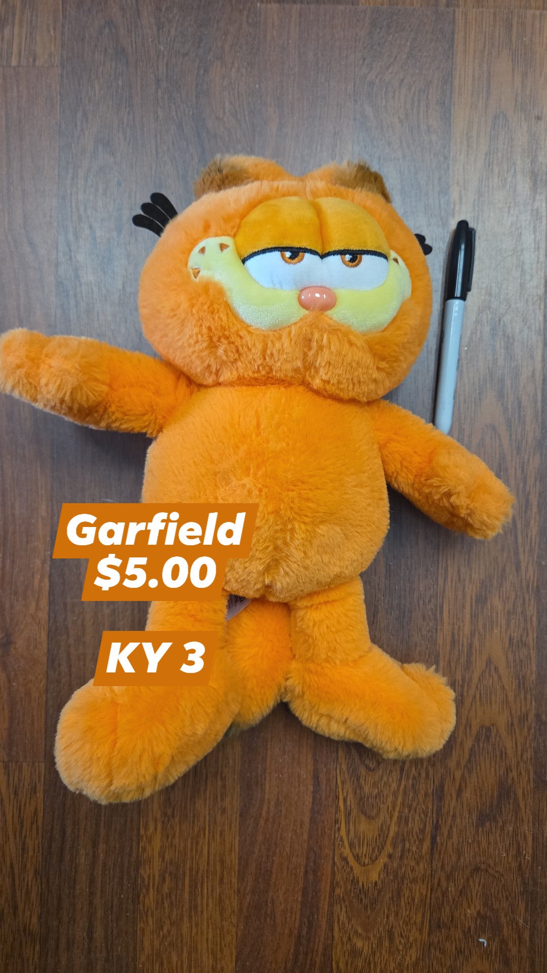 Toy