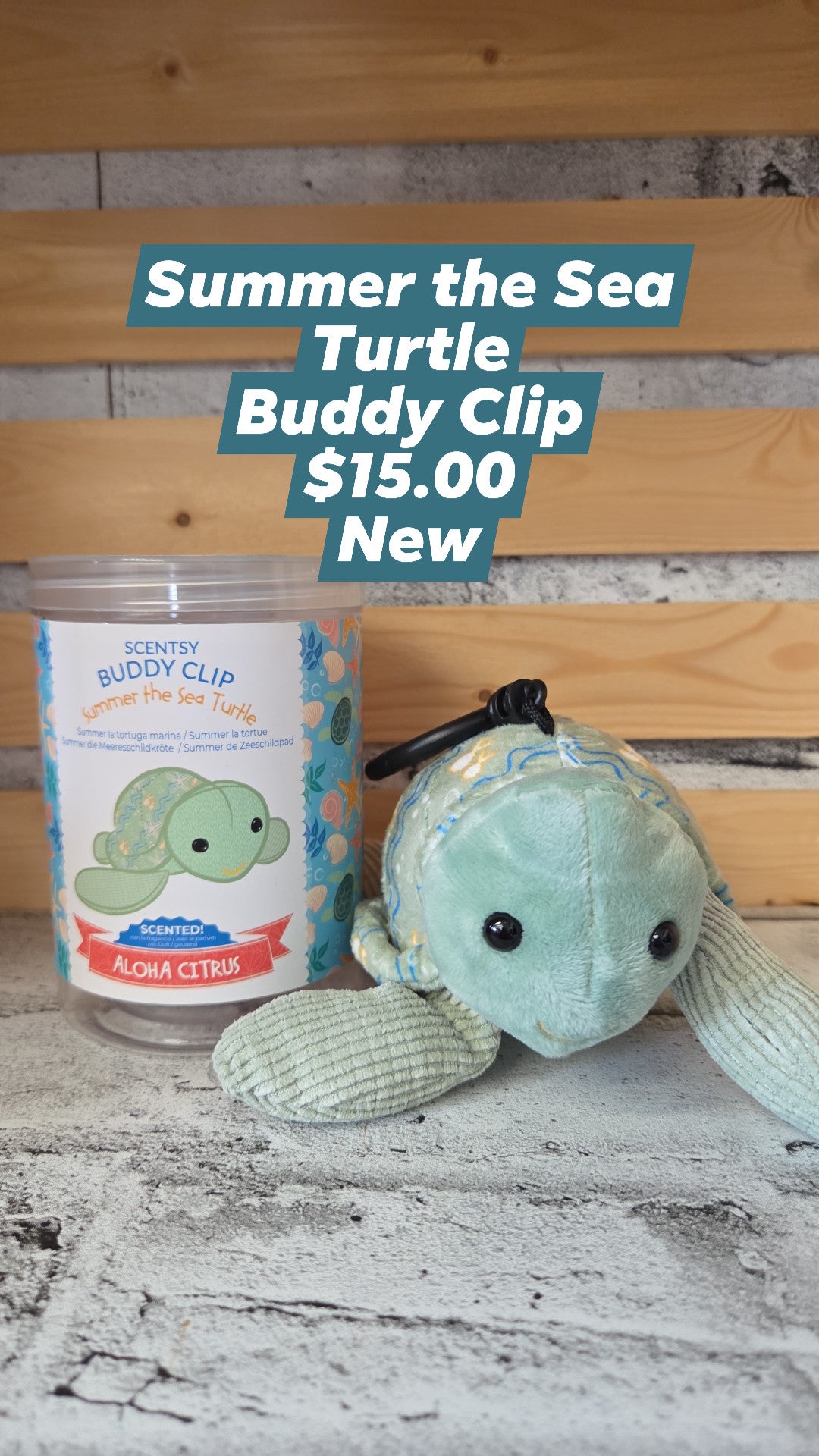 Scentsy - Summer the Sea Turtle