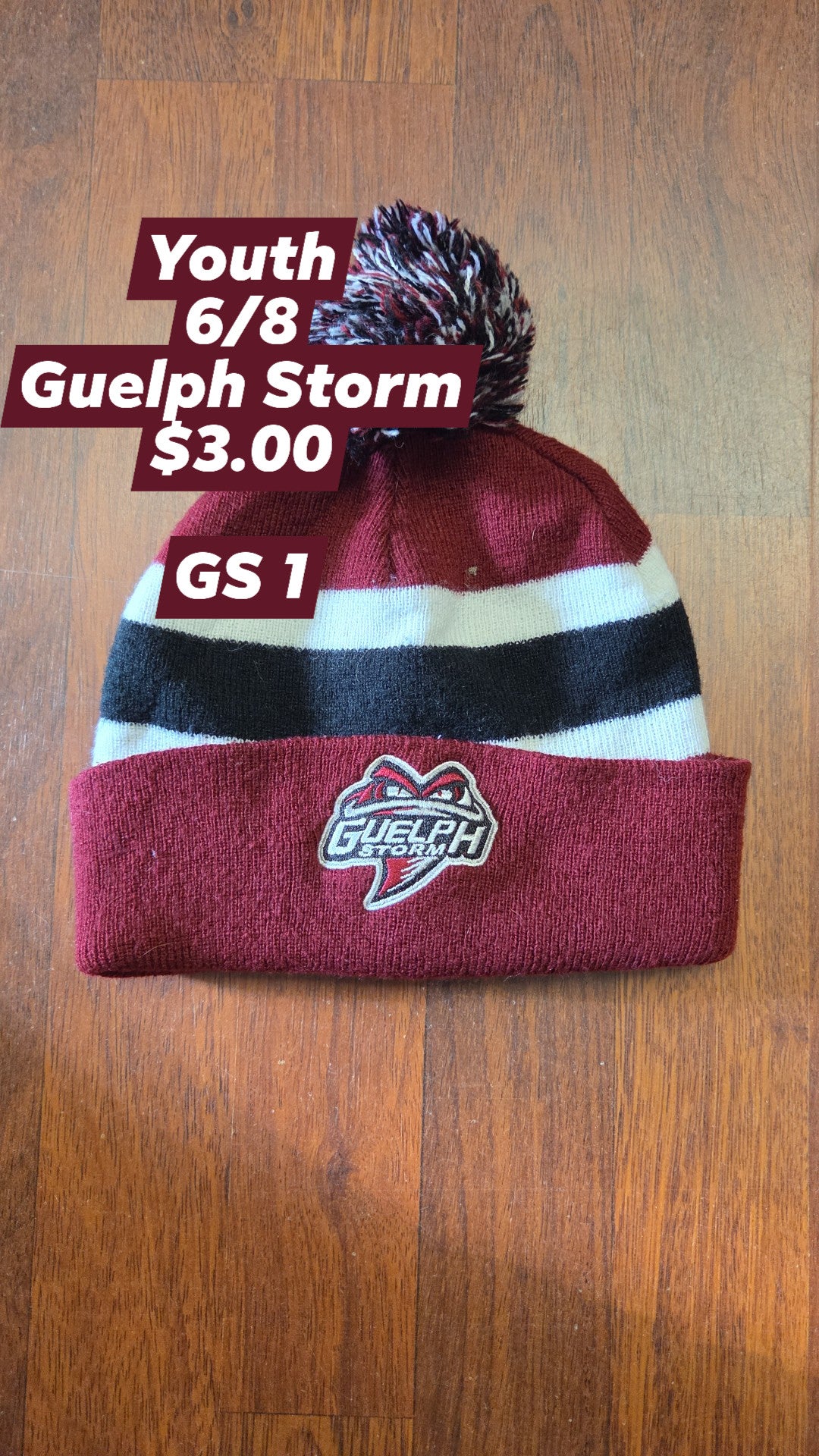Youth Guelph Storm