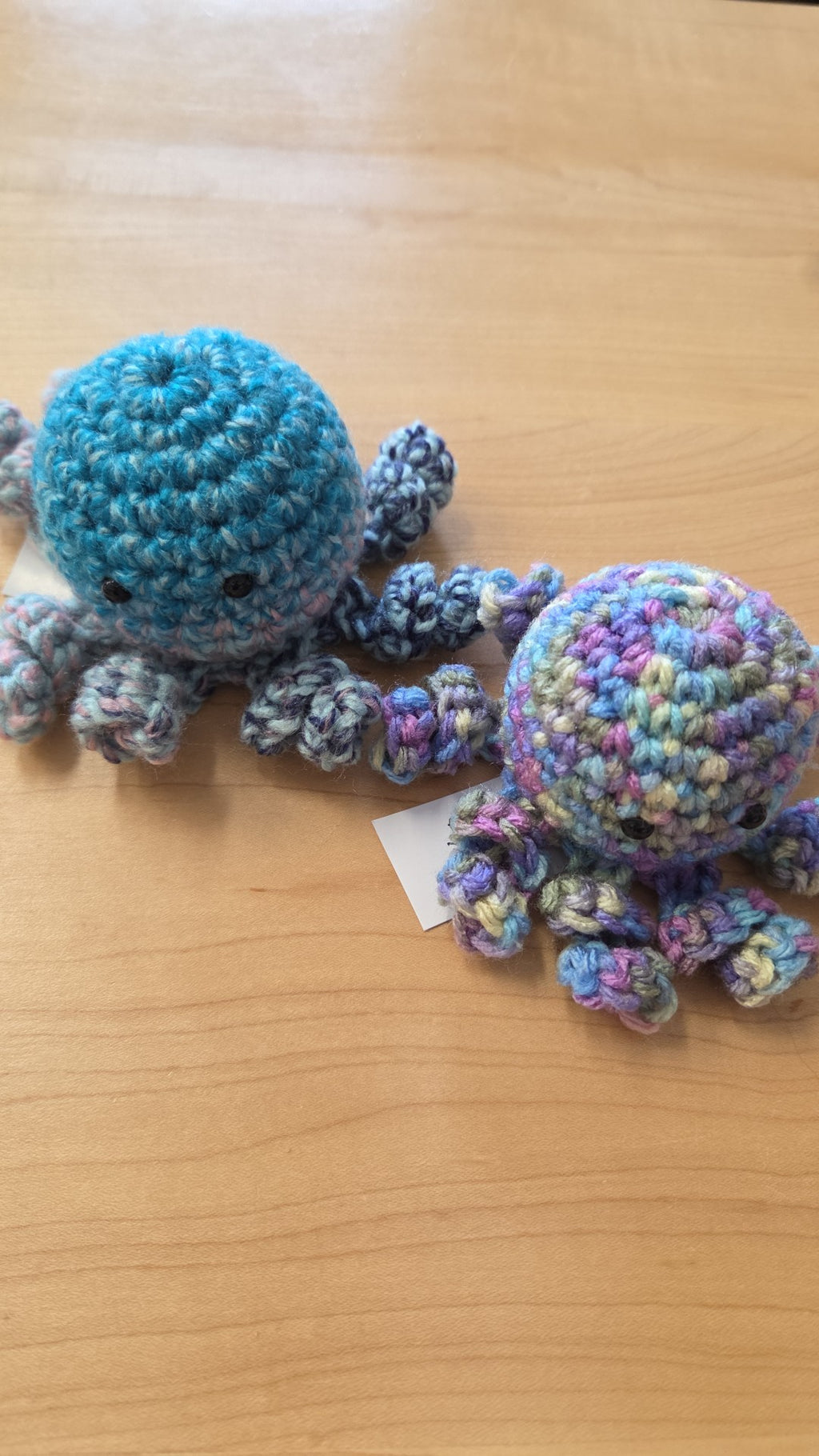 True Canadian North - Octopi - Mini and Regular Size - Surprise Colour