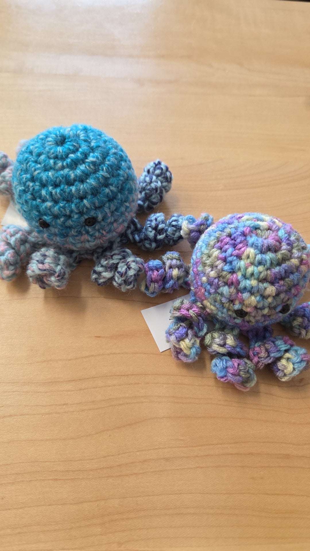 True Canadian North - Octopi - Random Colour