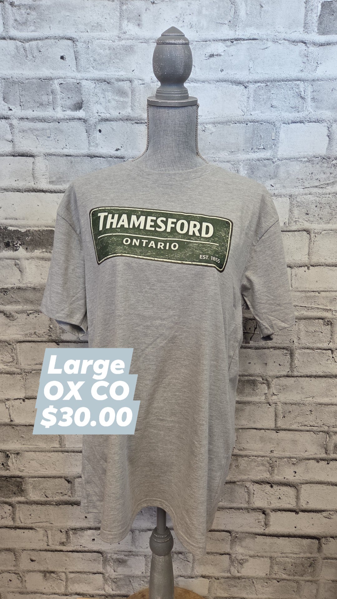 OX CO - Adult T-shirt - Thamesford - Large - In Stock