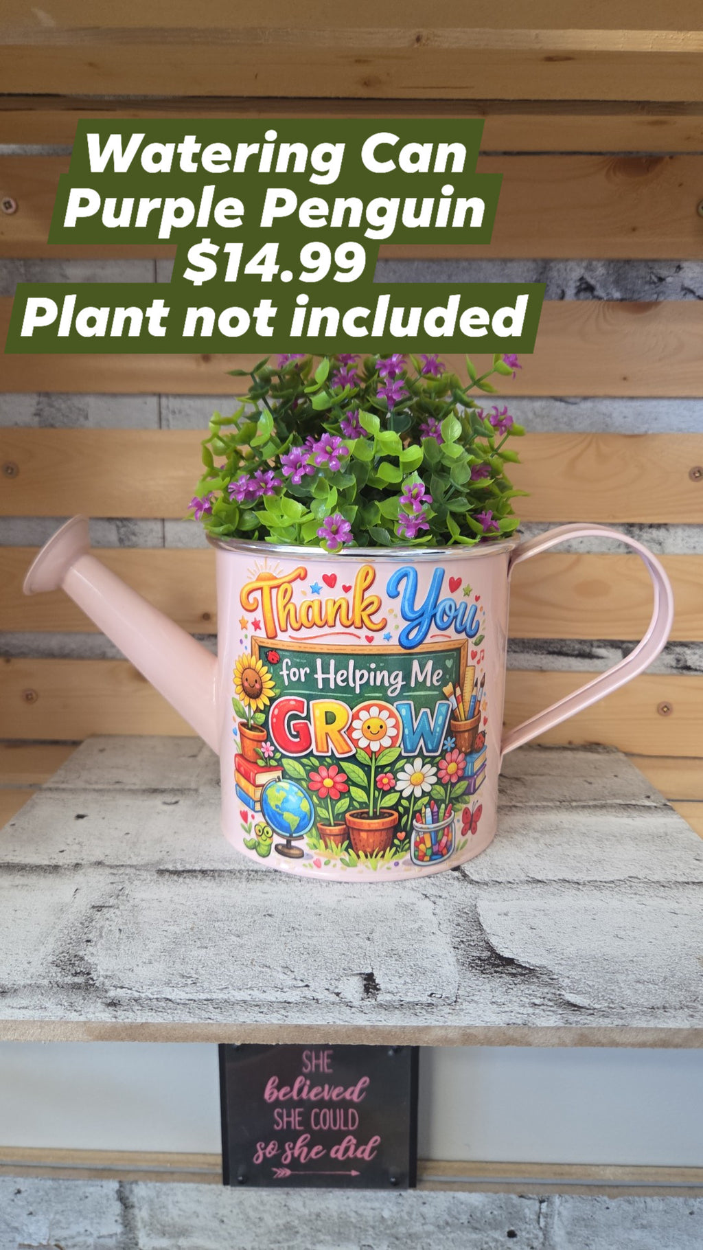 The Purple Penguin - Teacher Planters - 14.99 - Surprise Colour - Plant not included