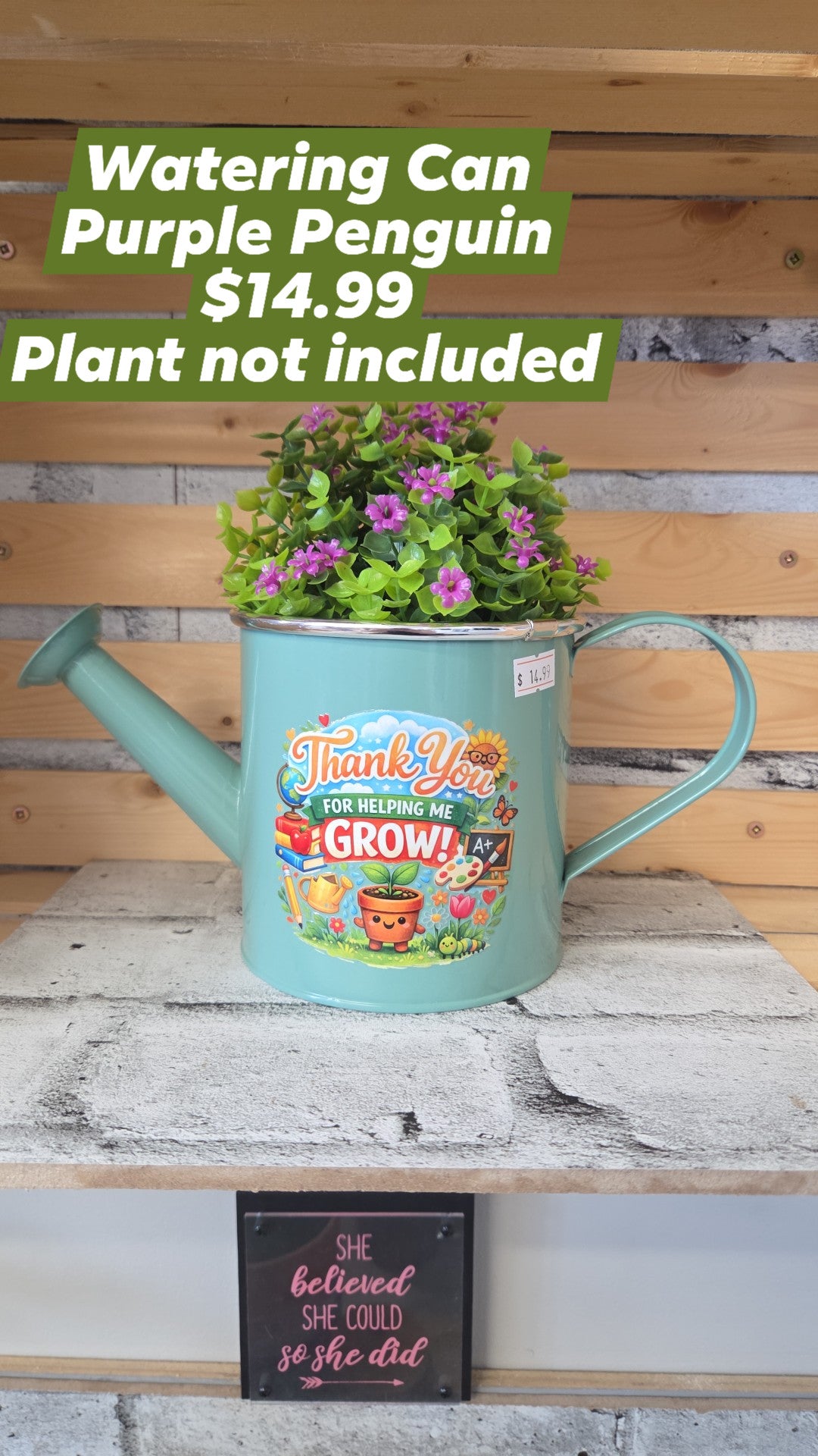 The Purple Penguin - Teacher Planters - 14.99 - Surprise Colour - Plant not included