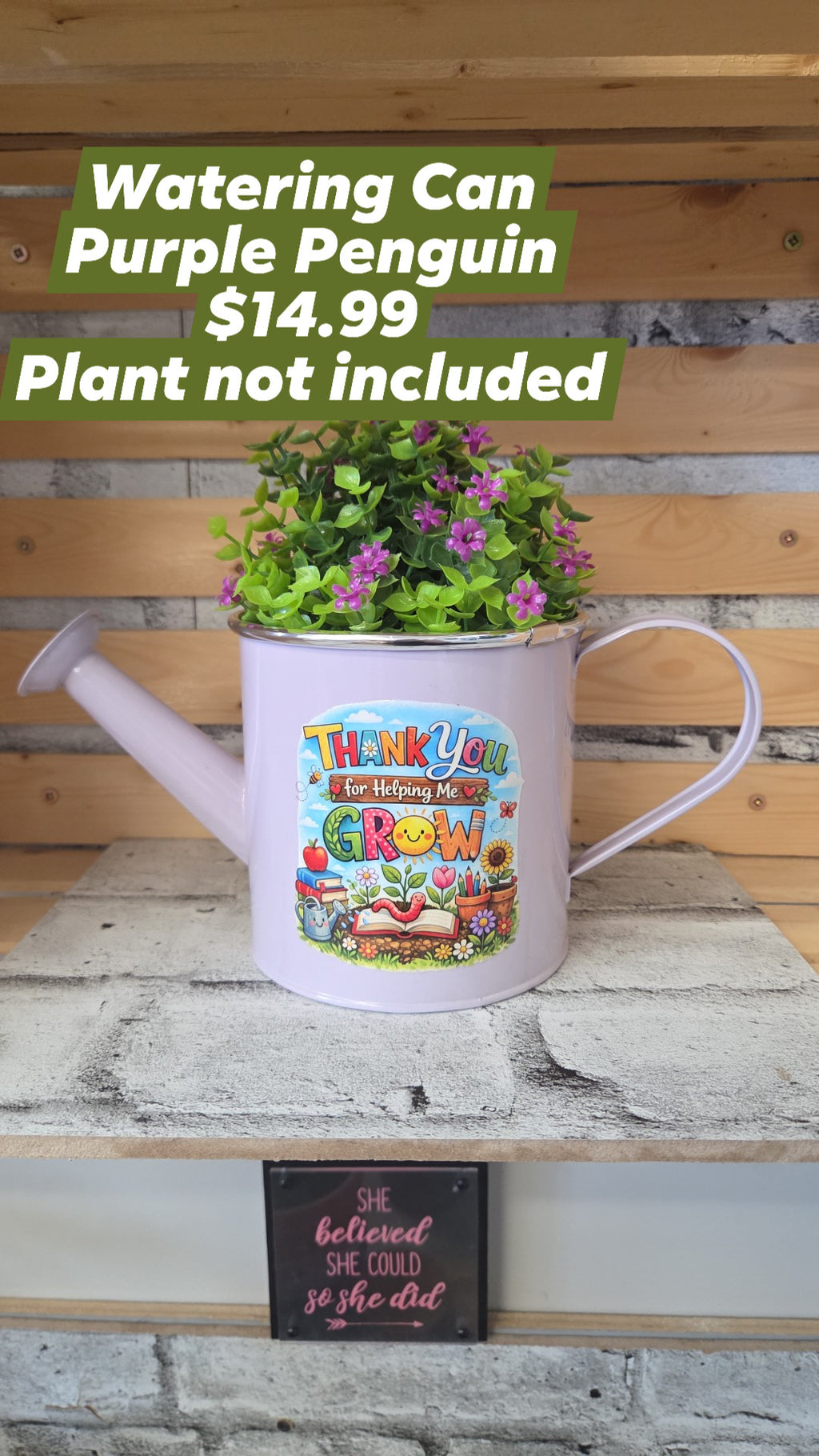 The Purple Penguin - Teacher Planters - 14.99 - Surprise Colour - Plant not included