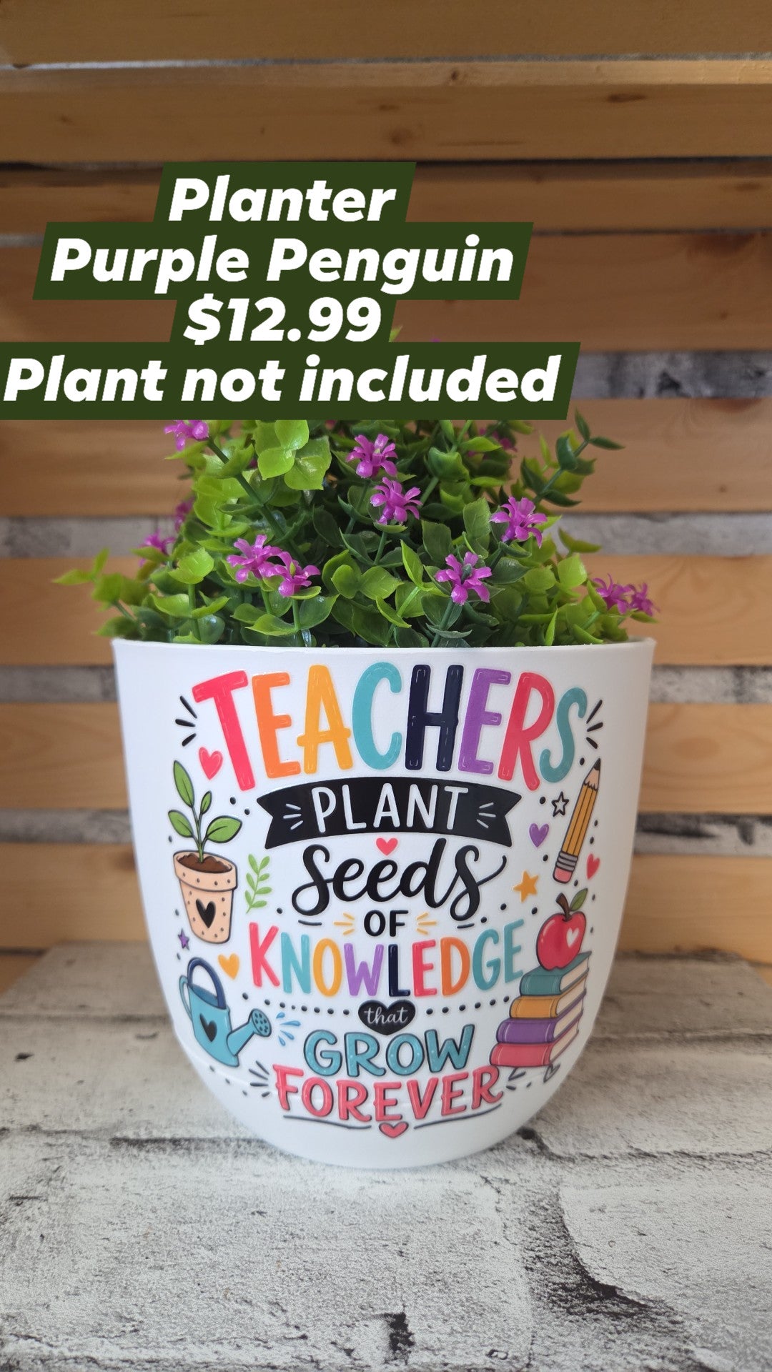 The Purple Penguin - Teacher Planters - 12.99 - Plant not included