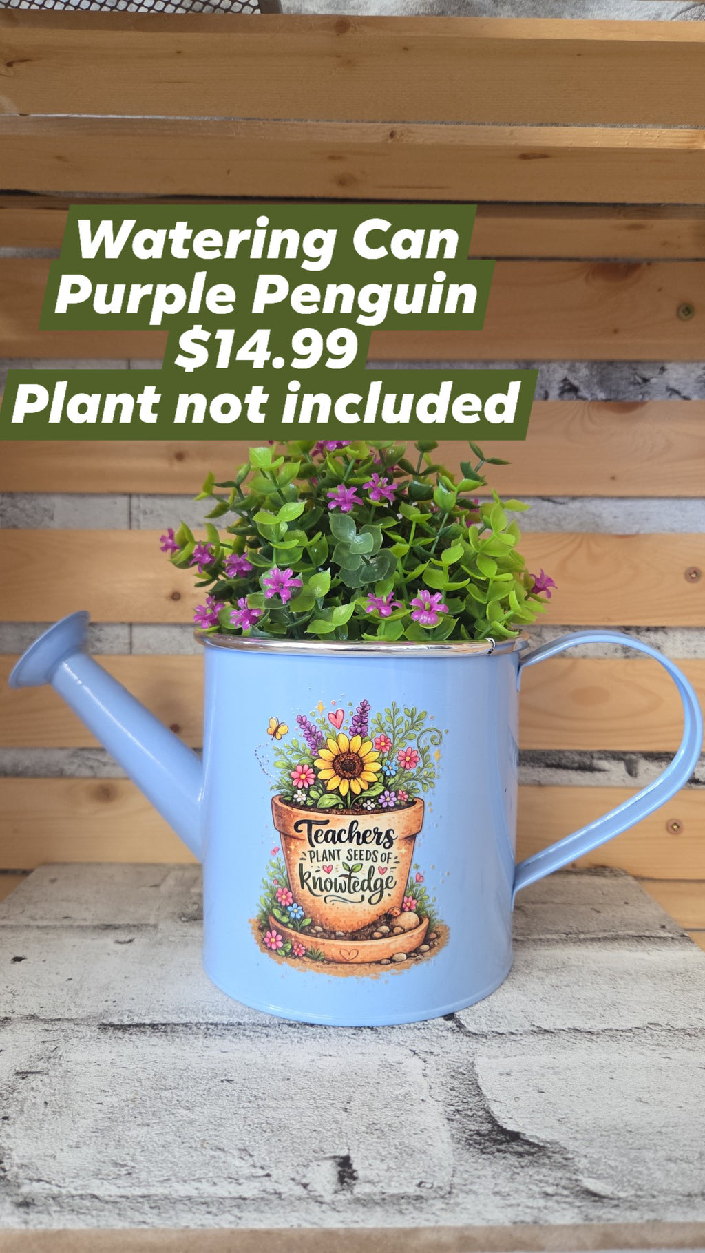 The Purple Penguin - Teacher Planters - 14.99 - Surprise Colour - Plant not included