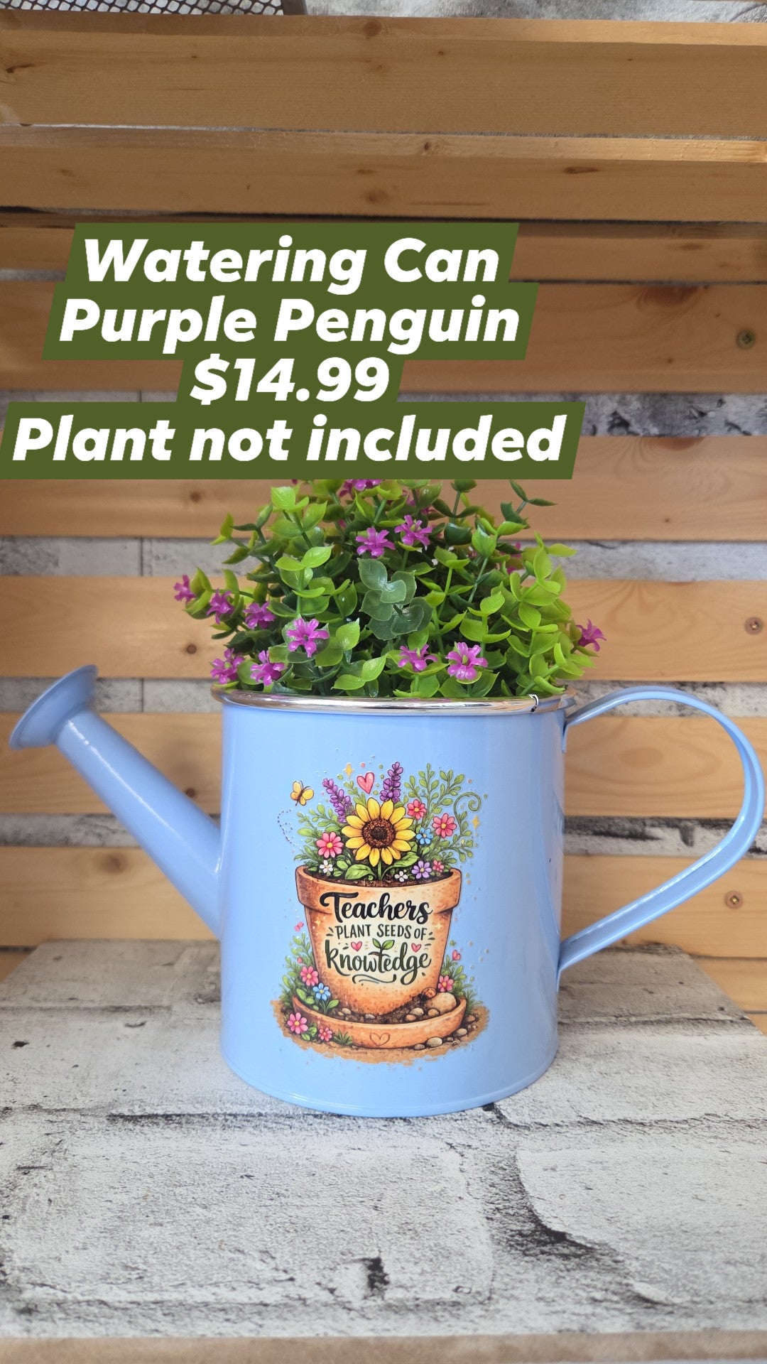 The Purple Penguin - Teacher Planters - 14.99 - Surprise Colour - Plant not included