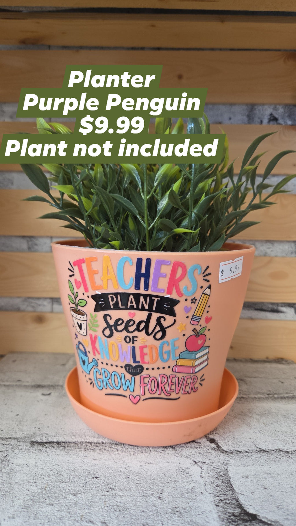 The Purple Penguin - Teacher Planters - 9.99 - Surprise Colour - Plant not included
