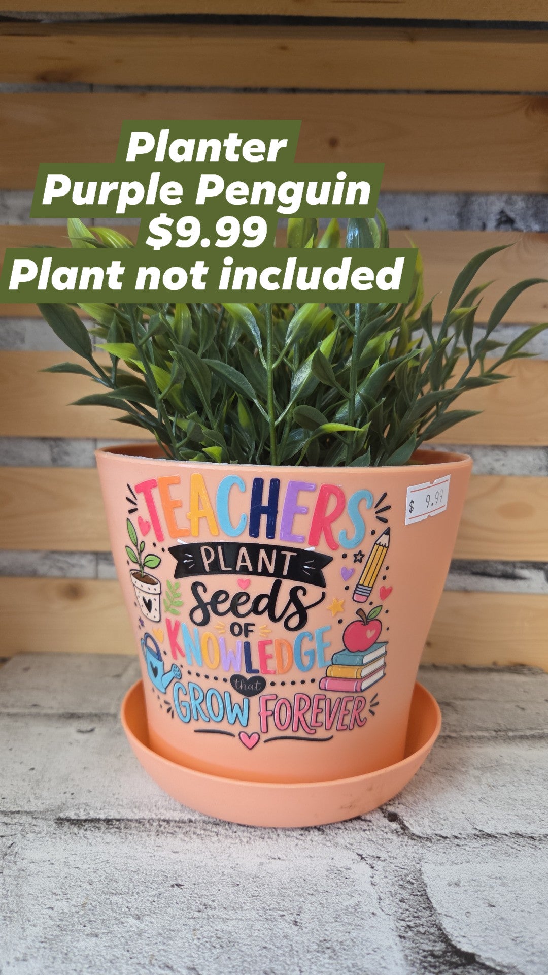 The Purple Penguin - Teacher Planters - 9.99 - Surprise Colour - Plant not included