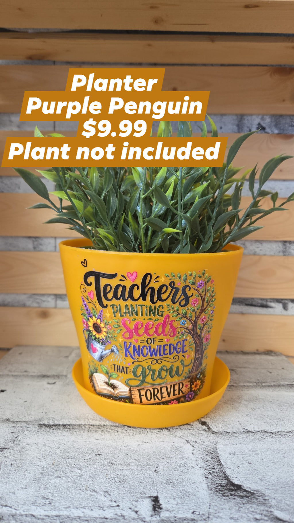The Purple Penguin - Teacher Planters - 9.99 - Surprise Colour - Plant not included