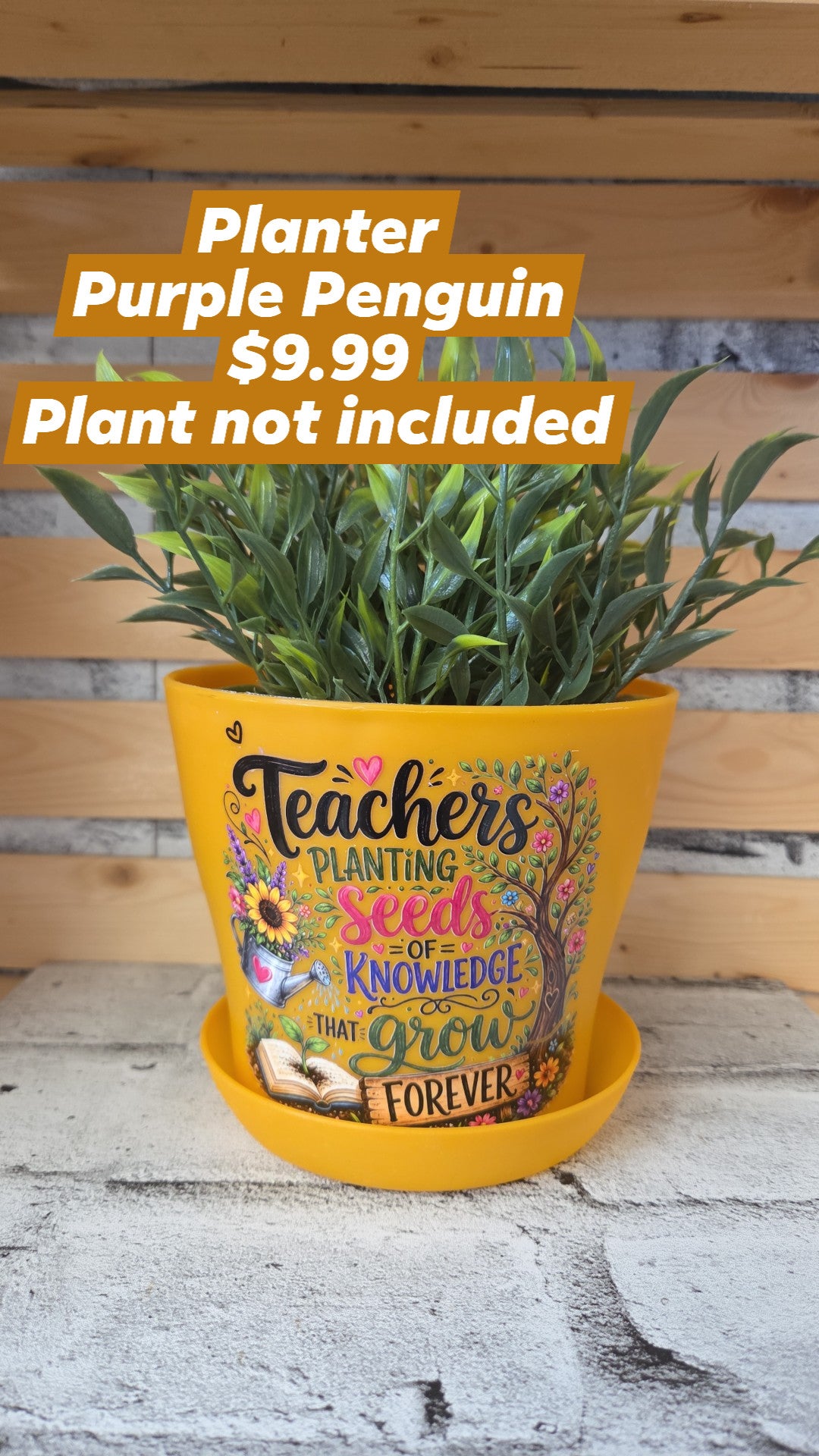 The Purple Penguin - Teacher Planters - 9.99 - Surprise Colour - Plant not included