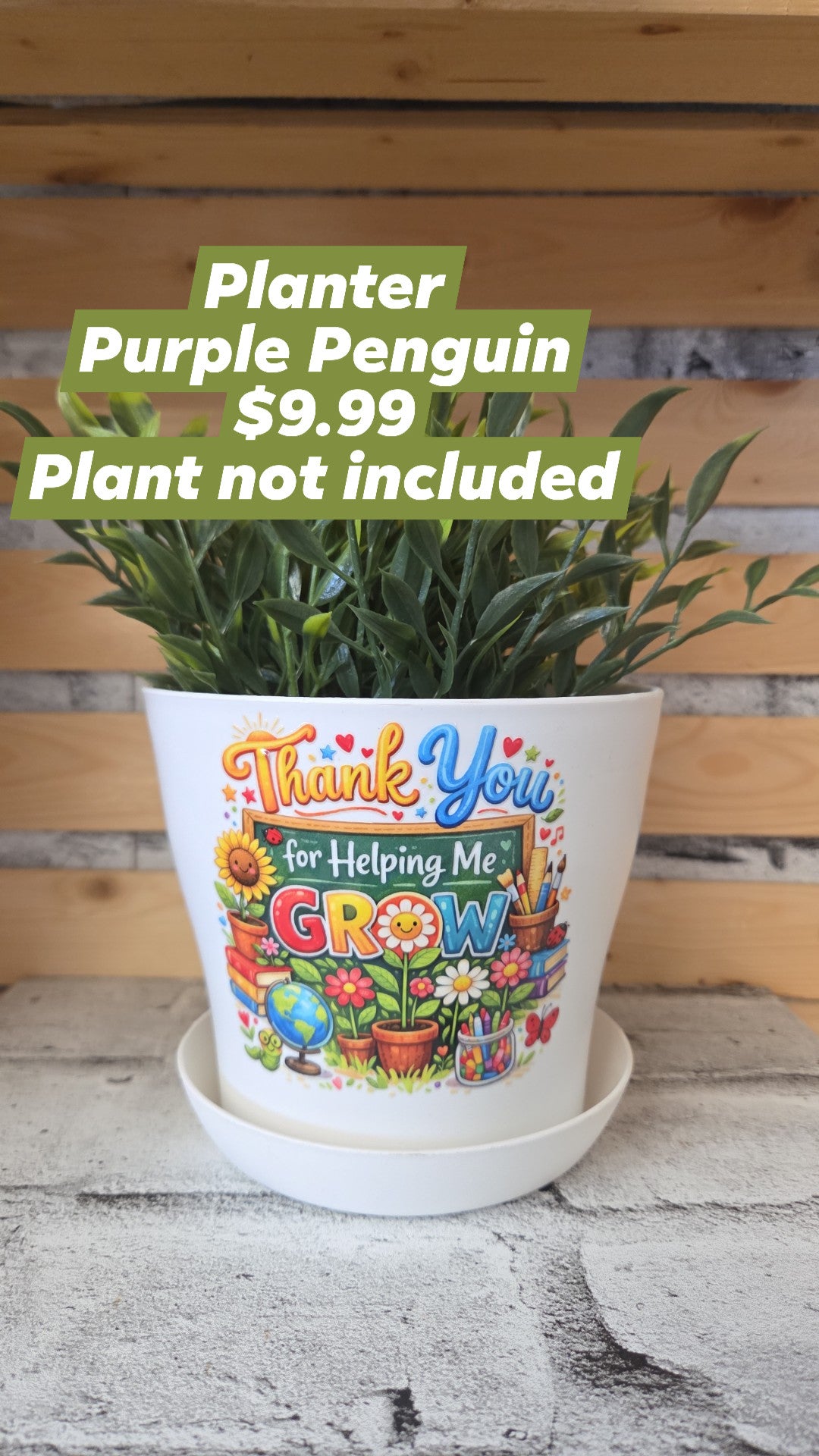 The Purple Penguin - Teacher Planters - 9.99 - Surprise Colour - Plant not included