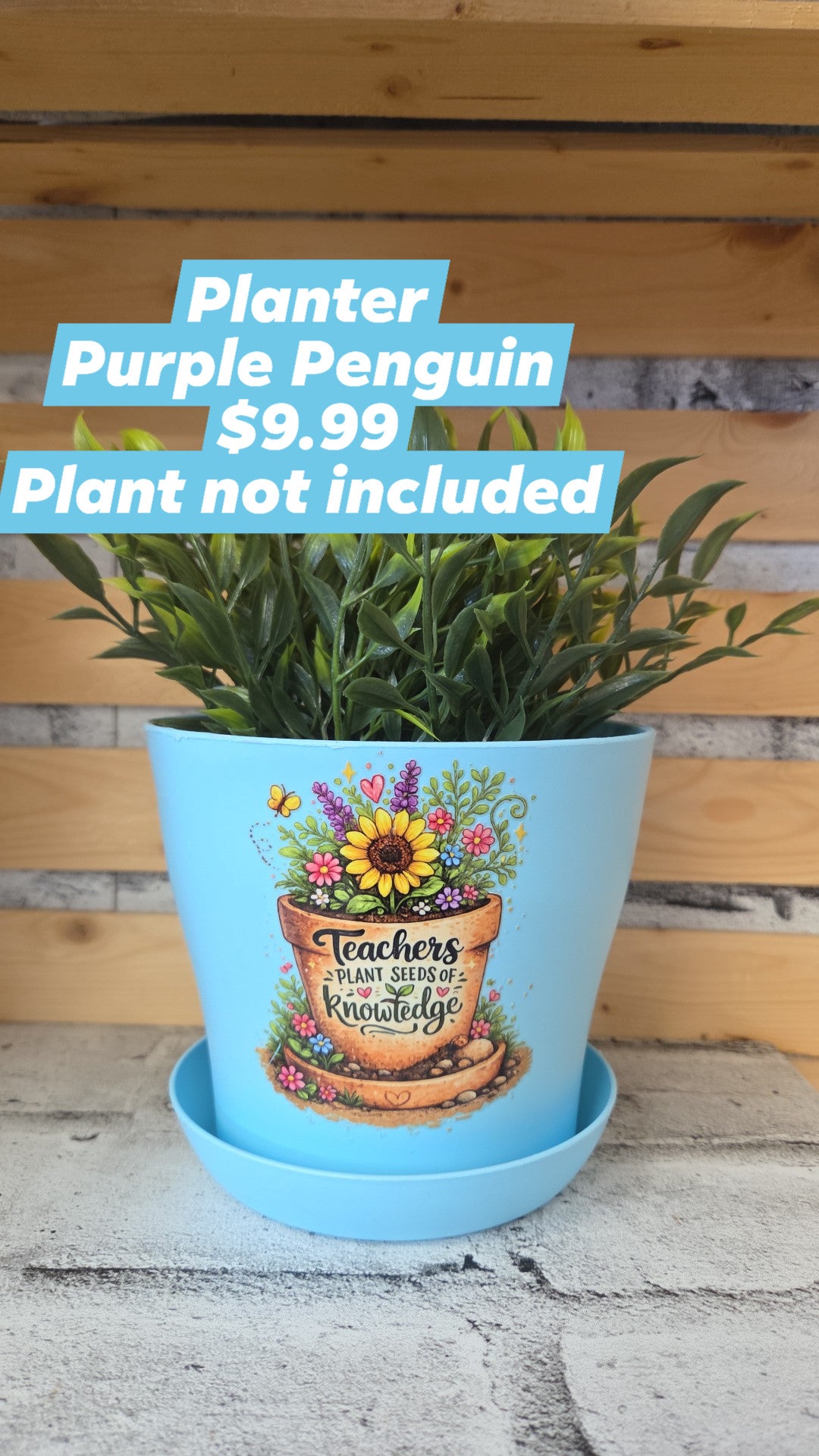 The Purple Penguin - Teacher Planters - 9.99 - Surprise Colour - Plant not included