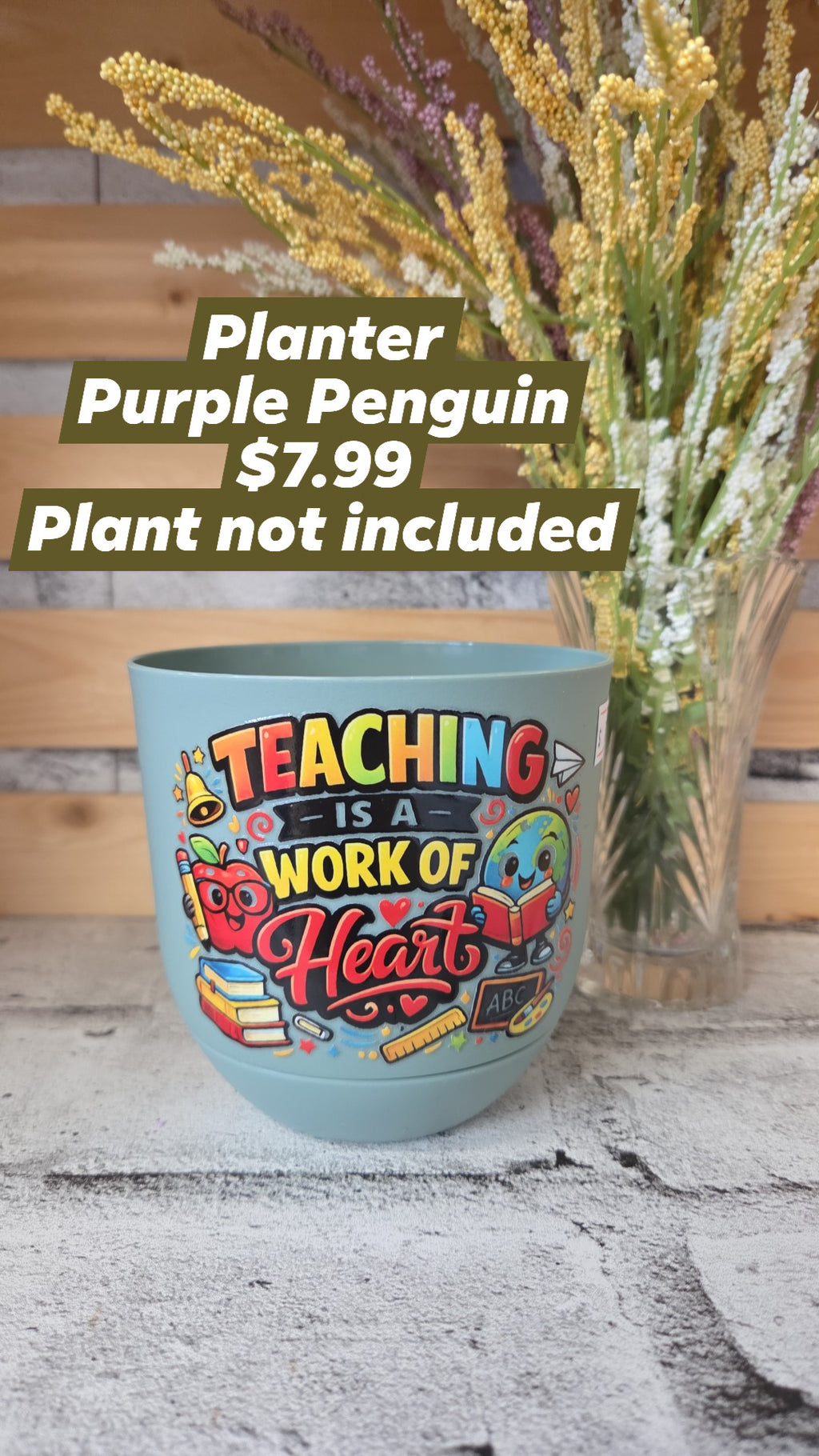 The Purple Penguin - Teacher Planters - 7.99 - Surprise Colour - Plant not included