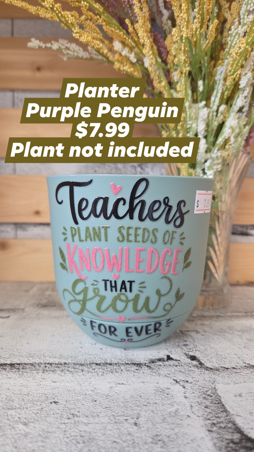 The Purple Penguin - Teacher Planters - 7.99 - Surprise Colour - Plant not included