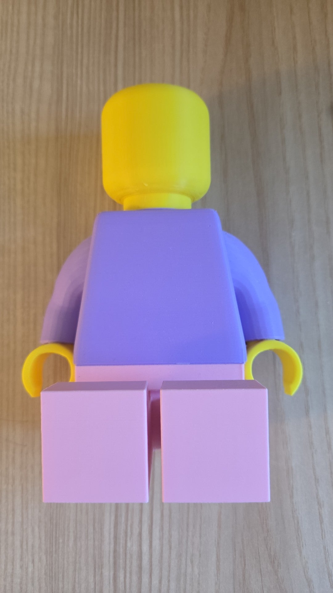 McAllister Print Lab - Lego Items