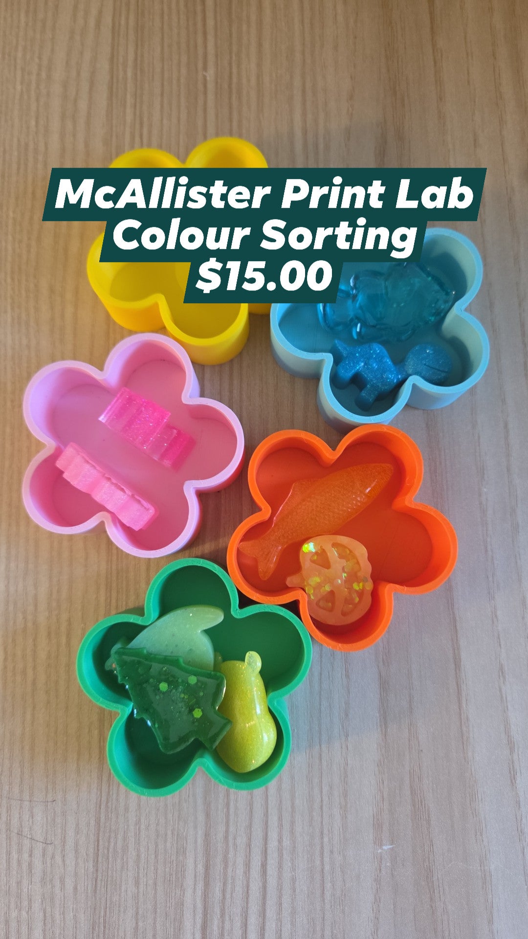 McAllister Print Lab - Colour Sorting Sets