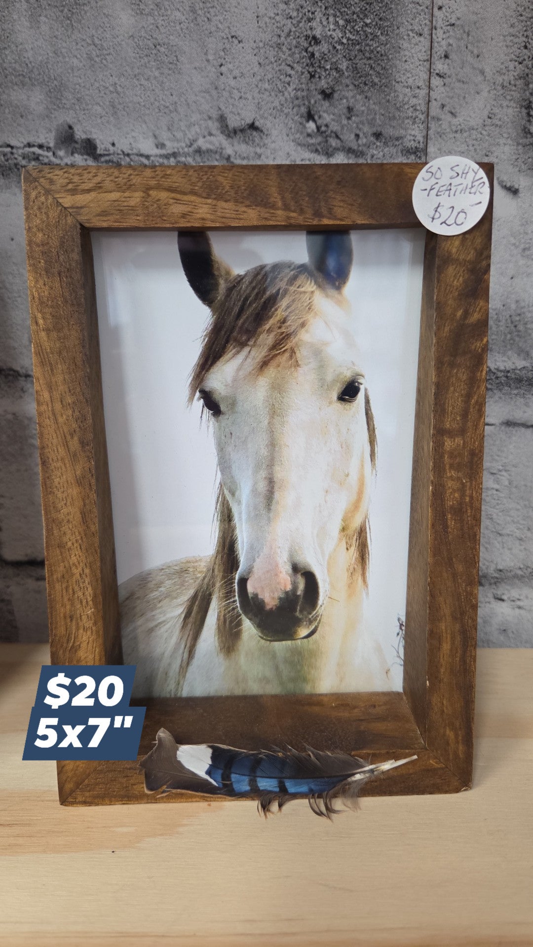 Frame It - Framed Print - So Shy Feather - Available for pickup instore ONLY at 90 Samnah Crescent in Ingersoll