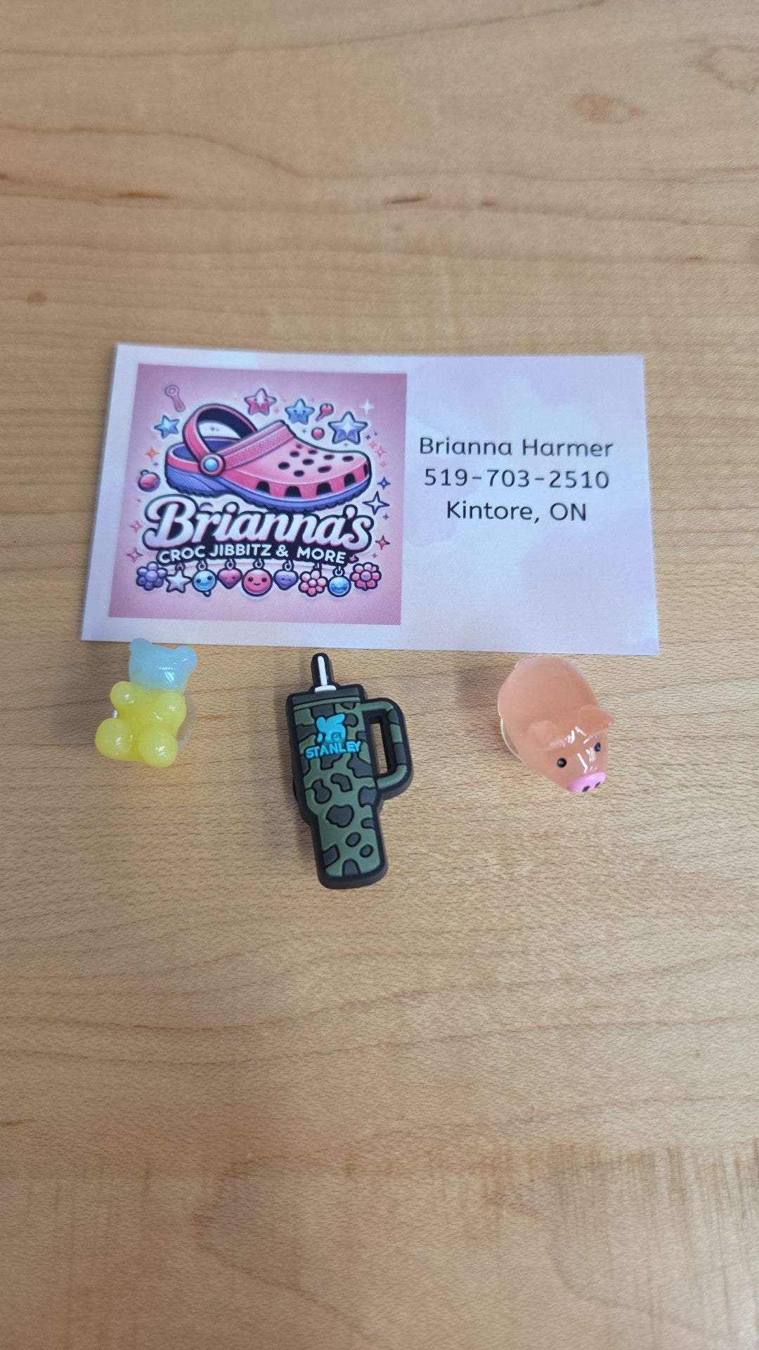 Brianna Croc Jibbitz - Bear, Stanley, Pig