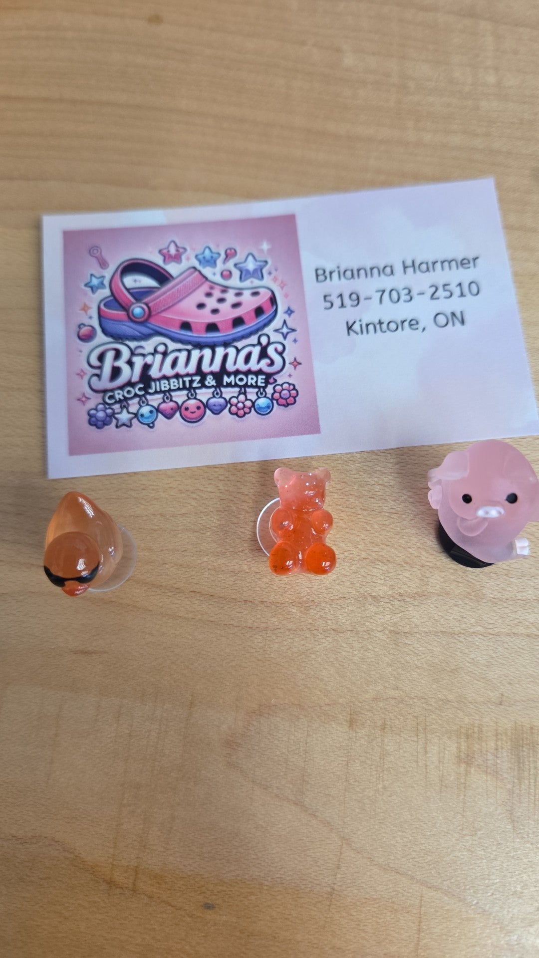 Brianna Croc Jibbitz - Duck, Bear, Pig