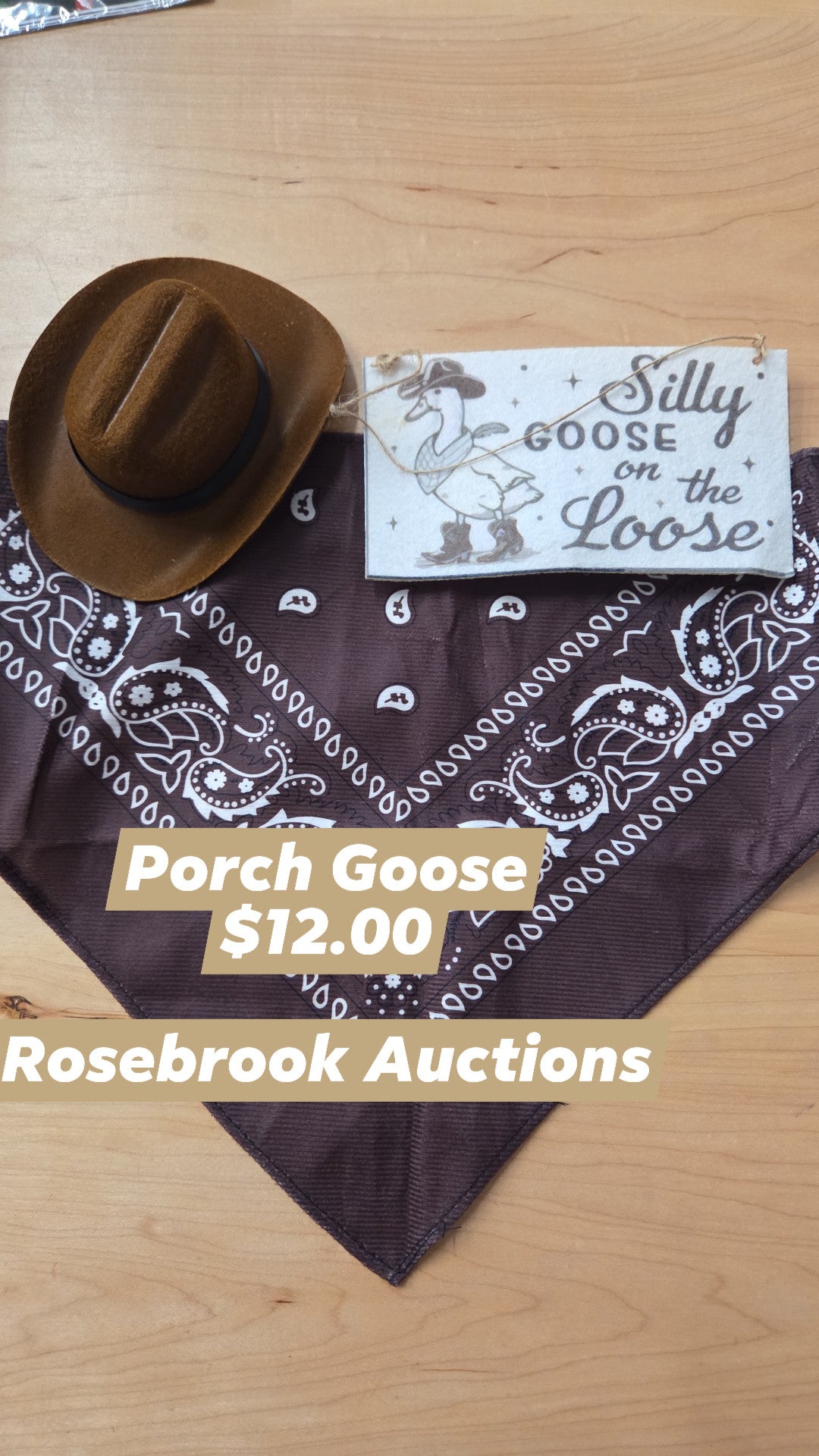 Rosebrook Auctions - Porch Goose