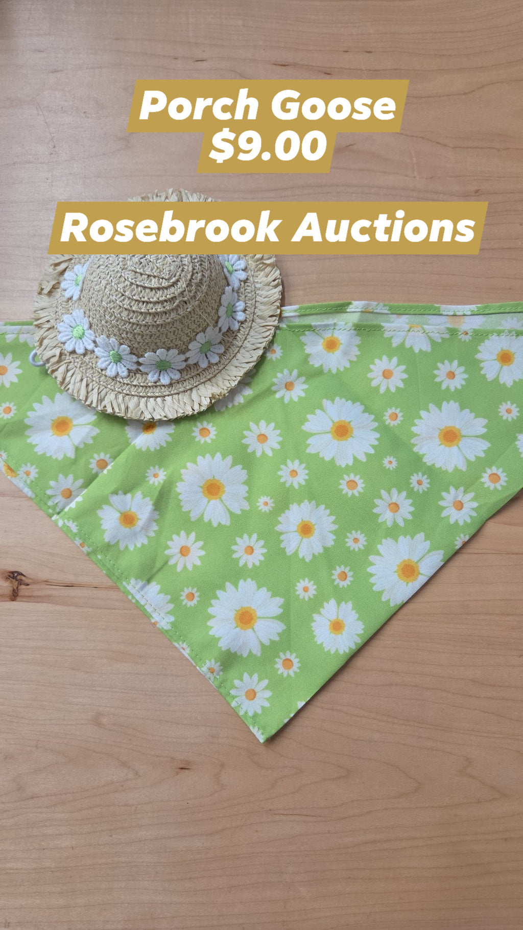 Rosebrook Auctions - Porch Goose