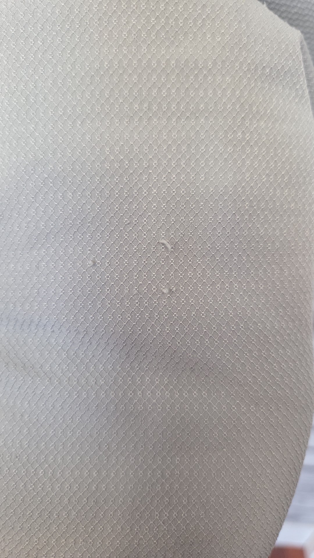 XL